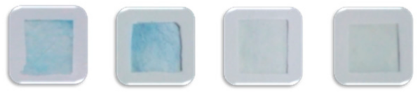 Foods 10 00889 i002 Foods 10 00889 i002