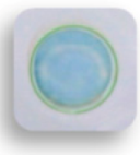 Foods 10 00889 i006 Foods 10 00889 i006