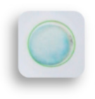 Foods 10 00889 i008 Foods 10 00889 i008