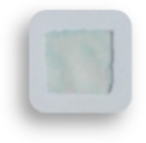 Foods 10 00889 i011 Foods 10 00889 i011