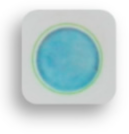 Foods 10 00889 i013 Foods 10 00889 i013