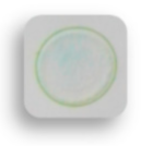 Foods 10 00889 i016 Foods 10 00889 i016