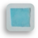 Foods 10 00889 i017 Foods 10 00889 i017