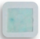 Foods 10 00889 i018 Foods 10 00889 i018