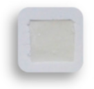 Foods 10 00889 i020 Foods 10 00889 i020