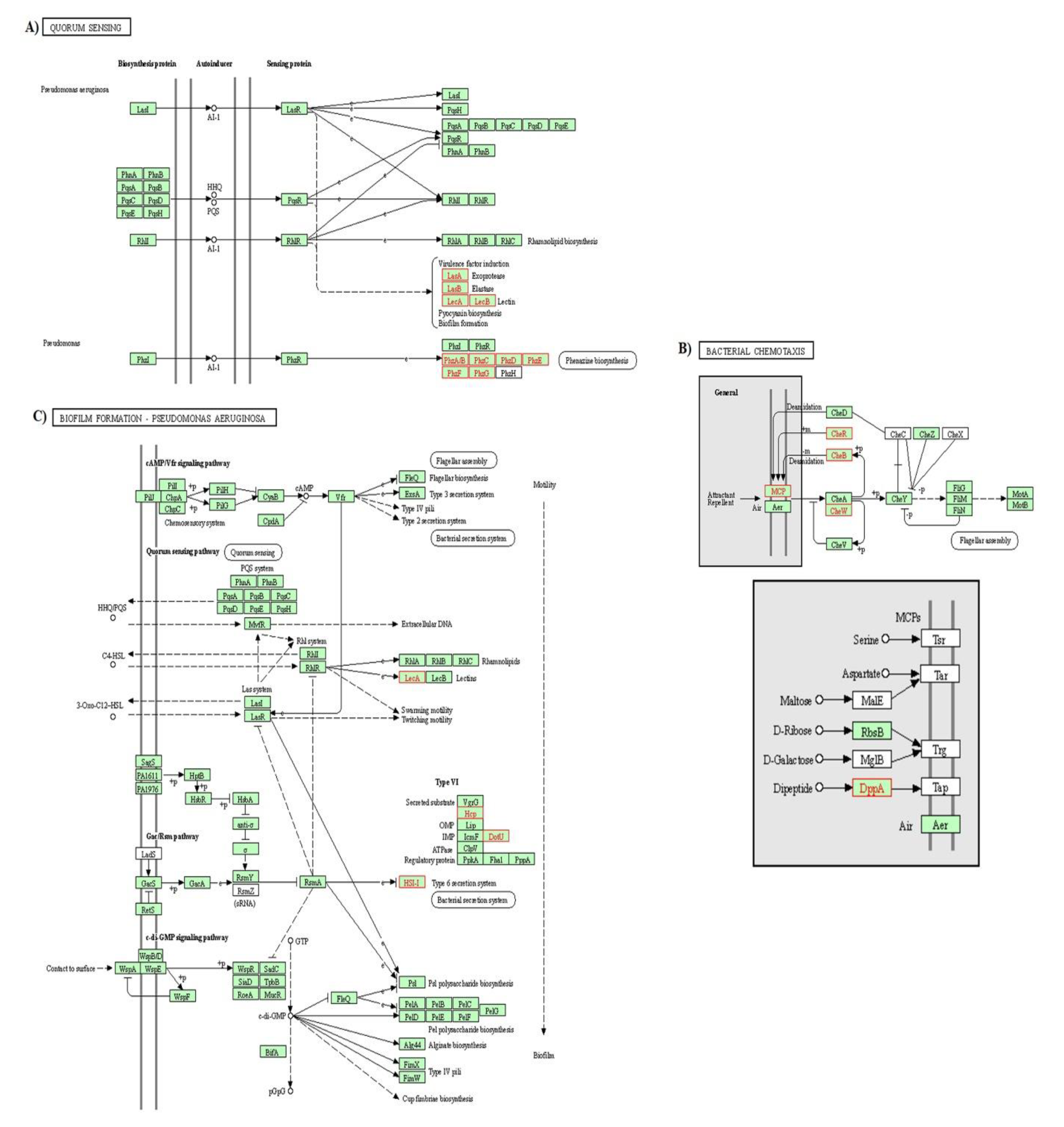 Foods 10 00936 g005 Foods 10 00936 g005