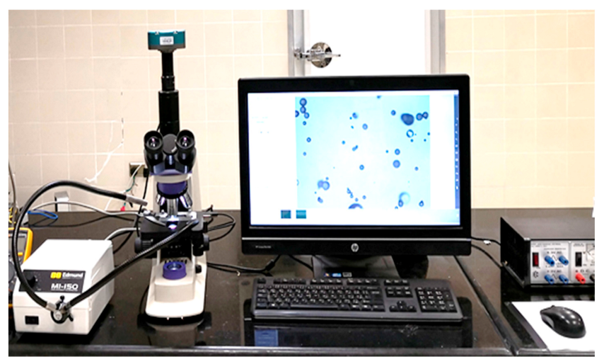 Foods 10 00949 g006 Foods 10 00949 g006