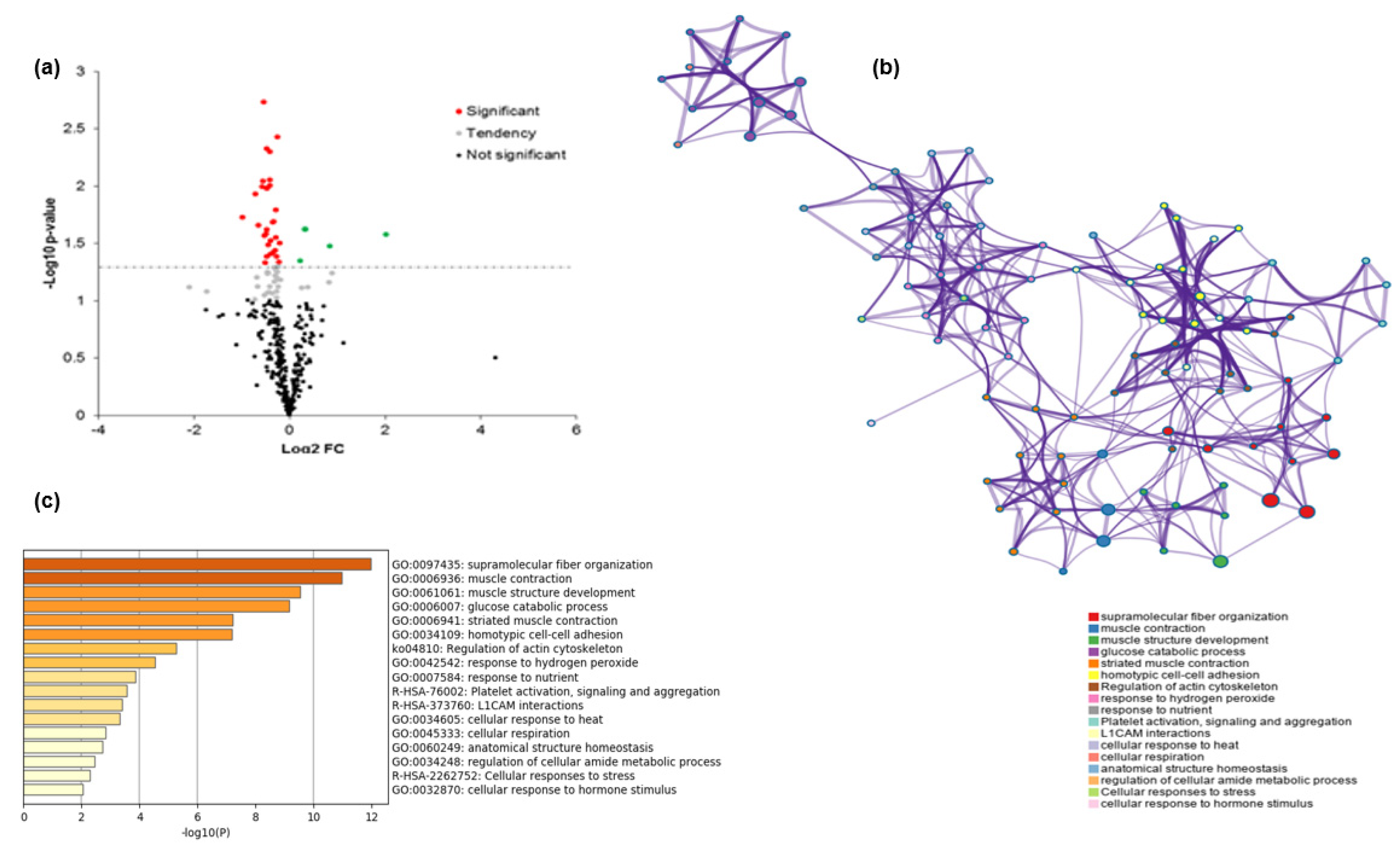 Foods 10 00952 g002 Foods 10 00952 g002