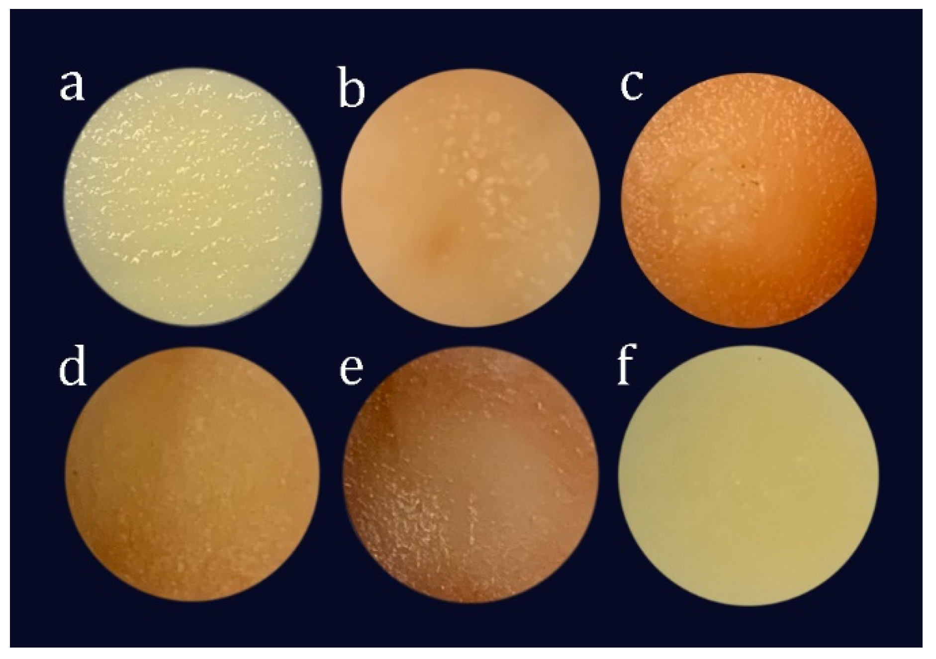 Foods 10 00974 g004 Foods 10 00974 g004