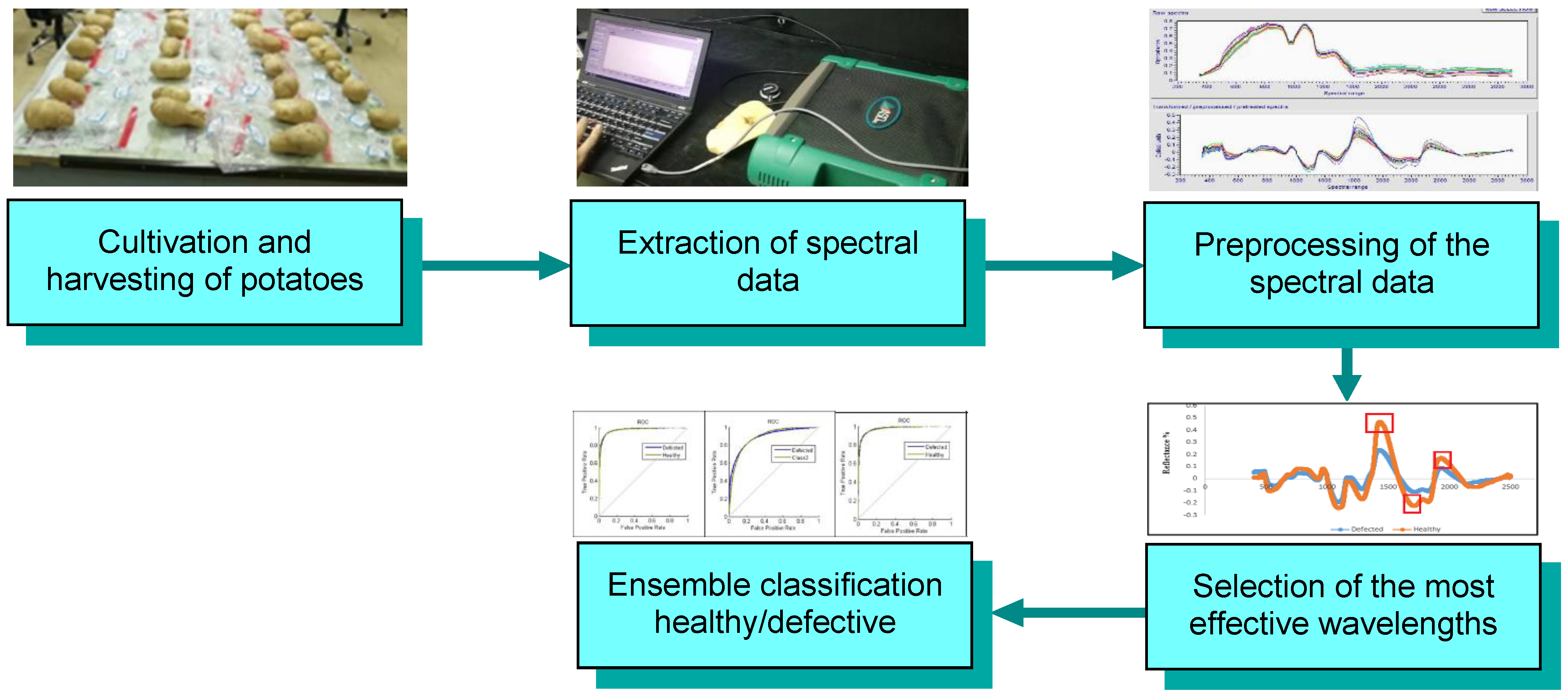Foods 10 00982 g001 Foods 10 00982 g001