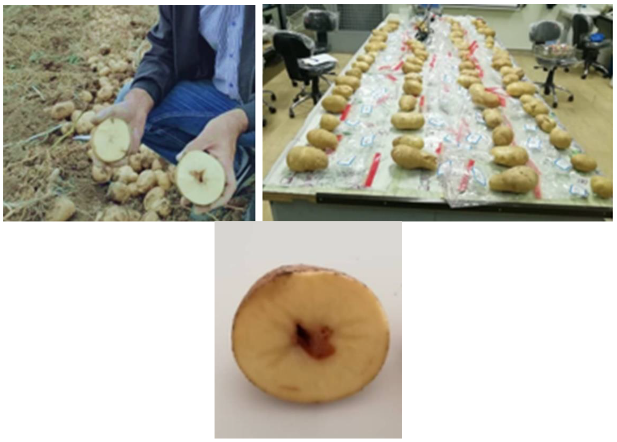 Foods 10 00982 g002 Foods 10 00982 g002