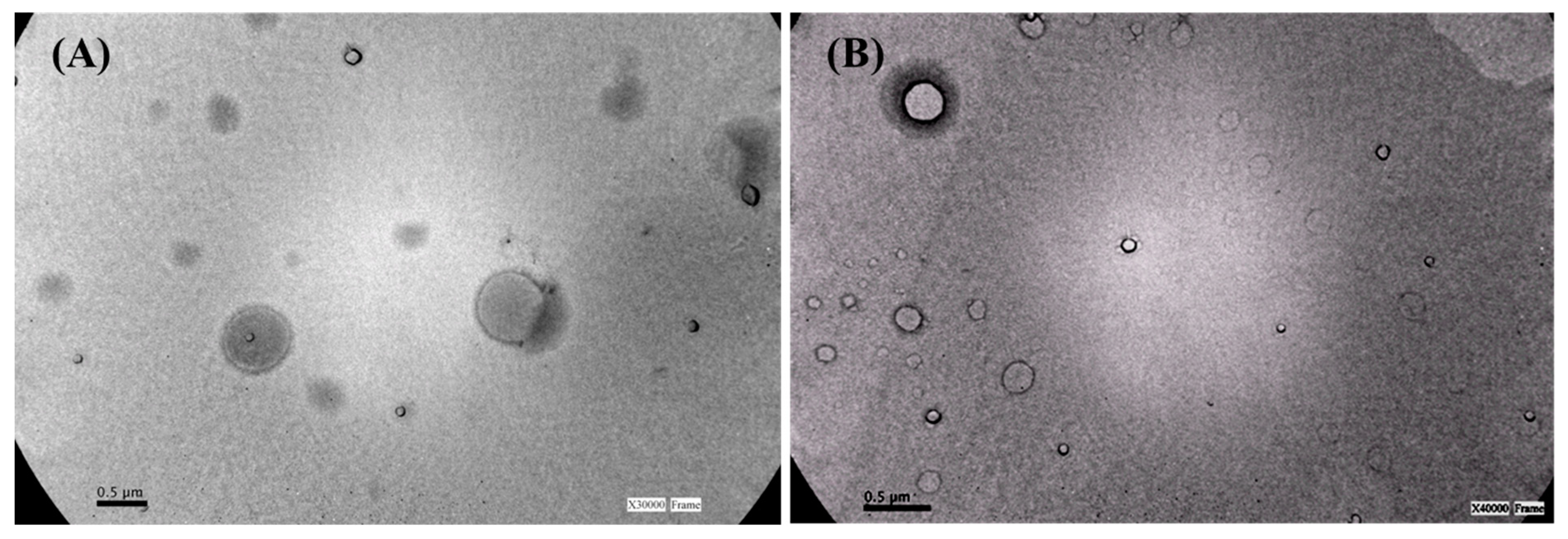 Foods 10 00988 g001 Foods 10 00988 g001