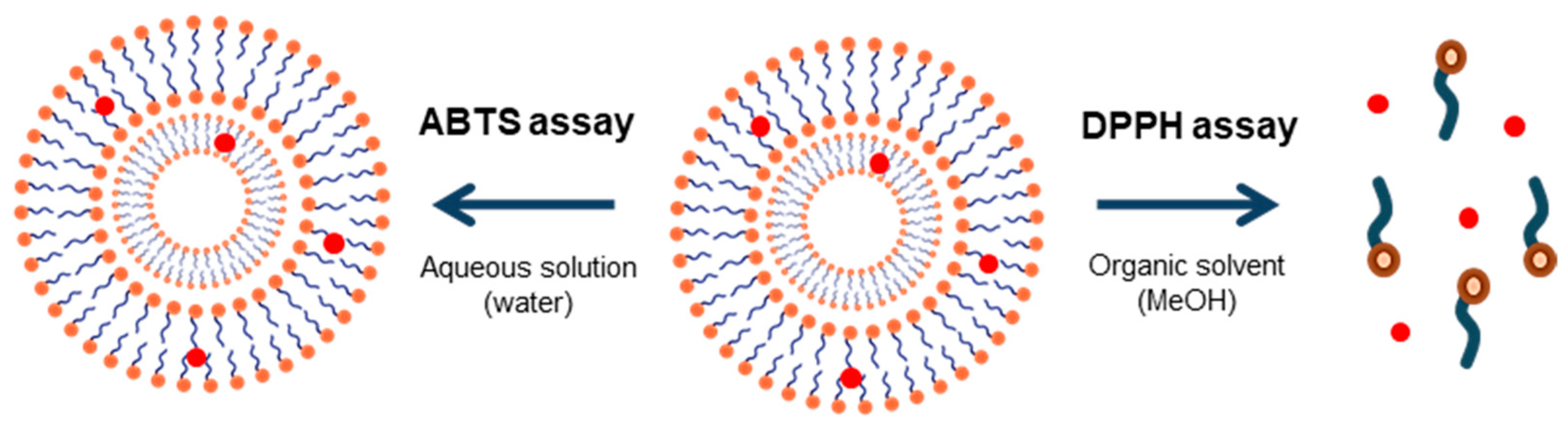 Foods 10 00988 g004 Foods 10 00988 g004