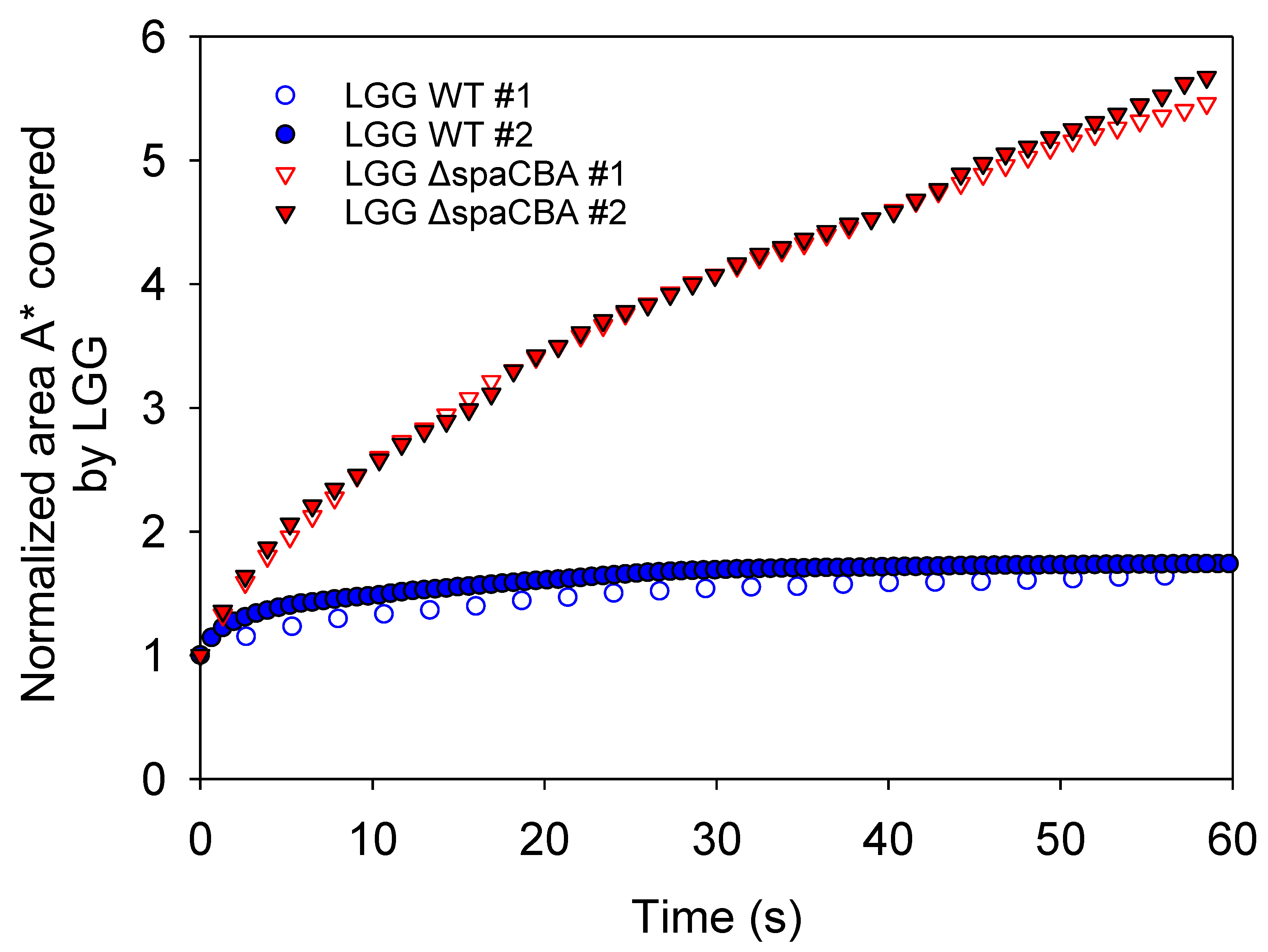 Foods 10 00991 g004 Foods 10 00991 g004