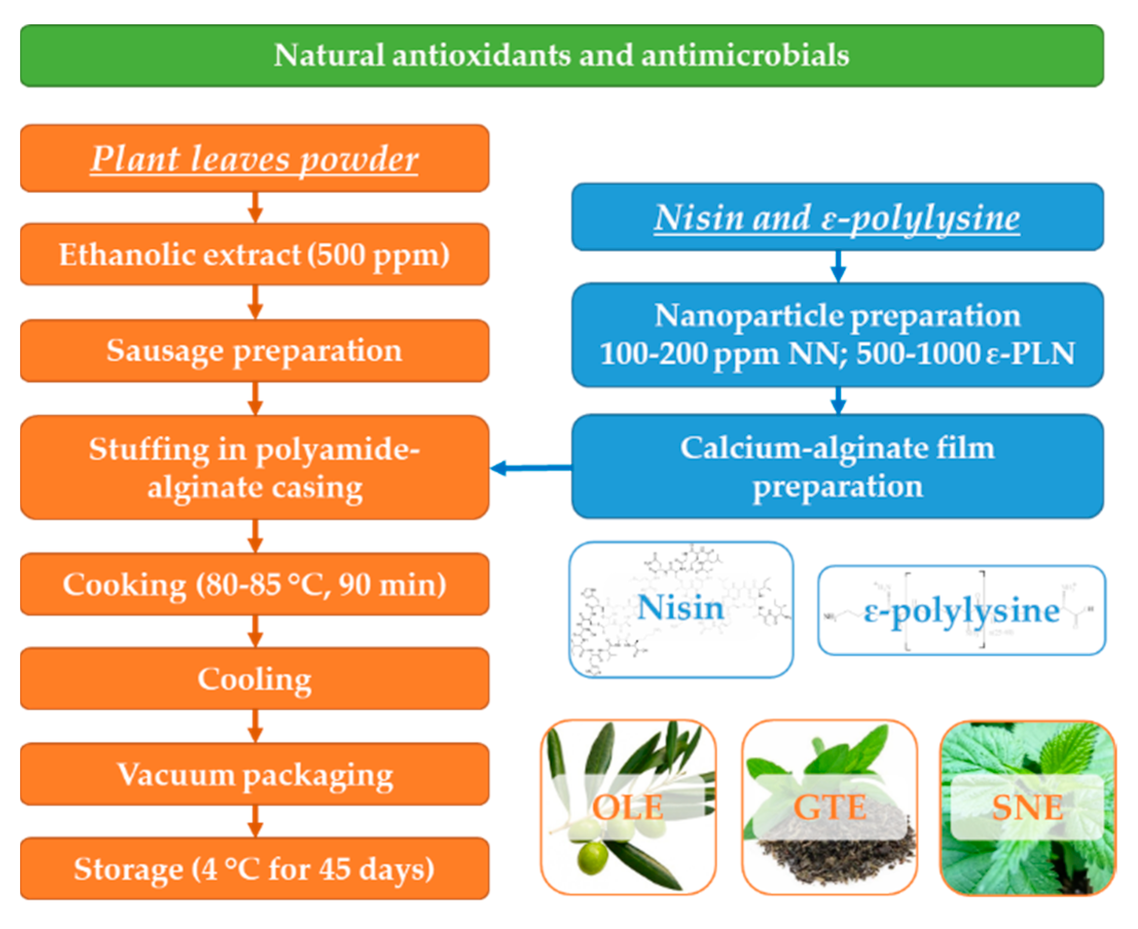 Foods 10 01003 g001 Foods 10 01003 g001
