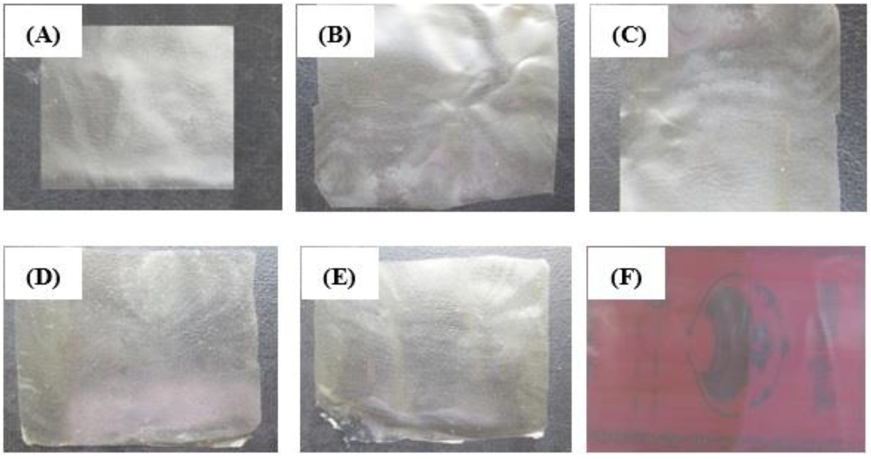 Foods 10 01003 g002 Foods 10 01003 g002