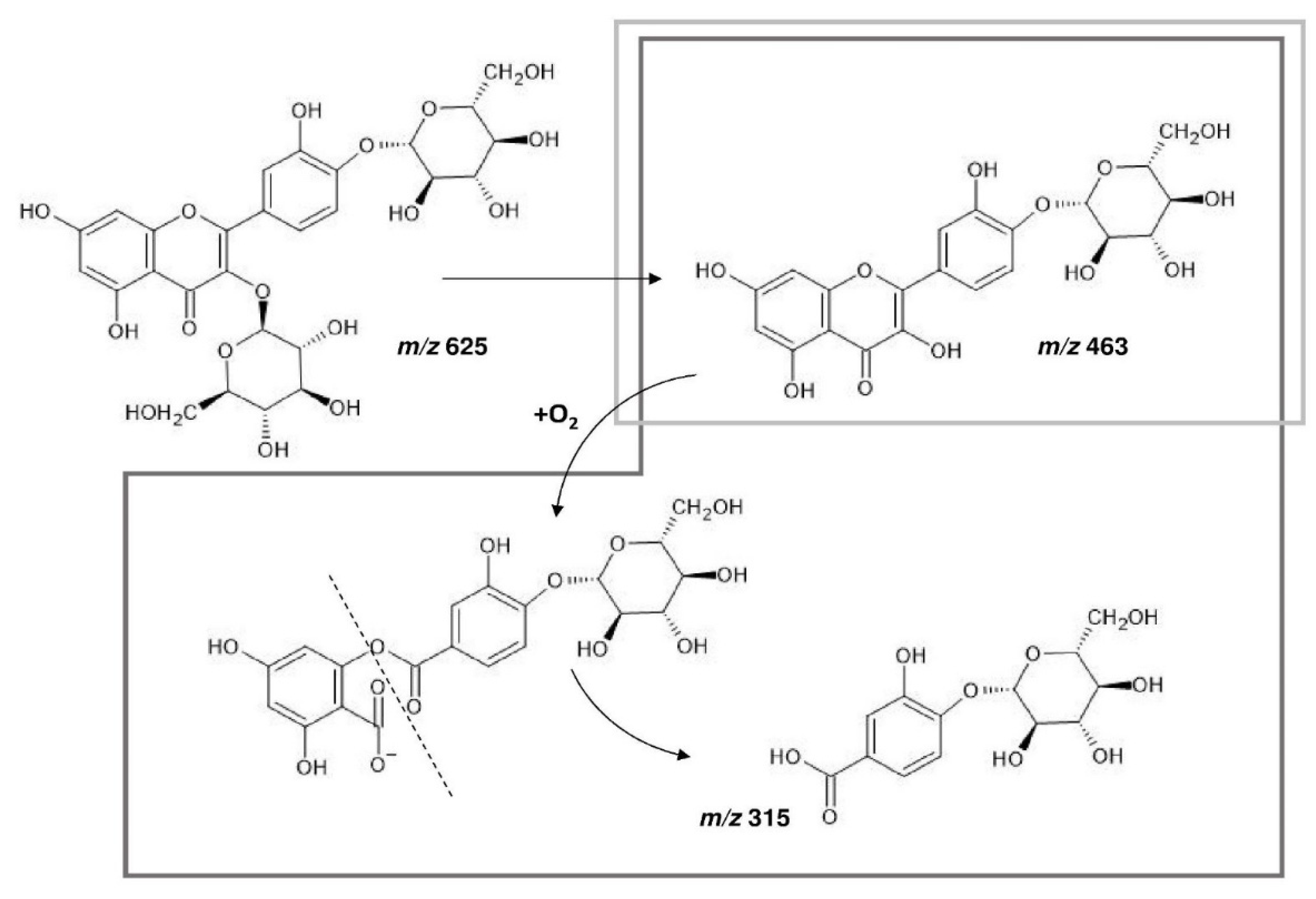 Foods 10 01023 g004 Foods 10 01023 g004