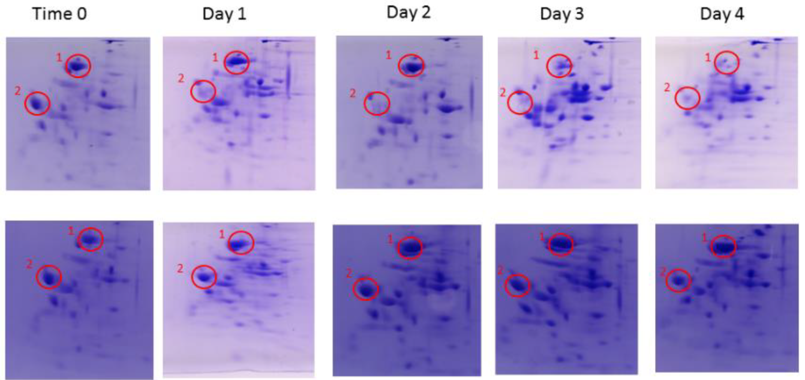 Foods 10 01026 g001 Foods 10 01026 g001