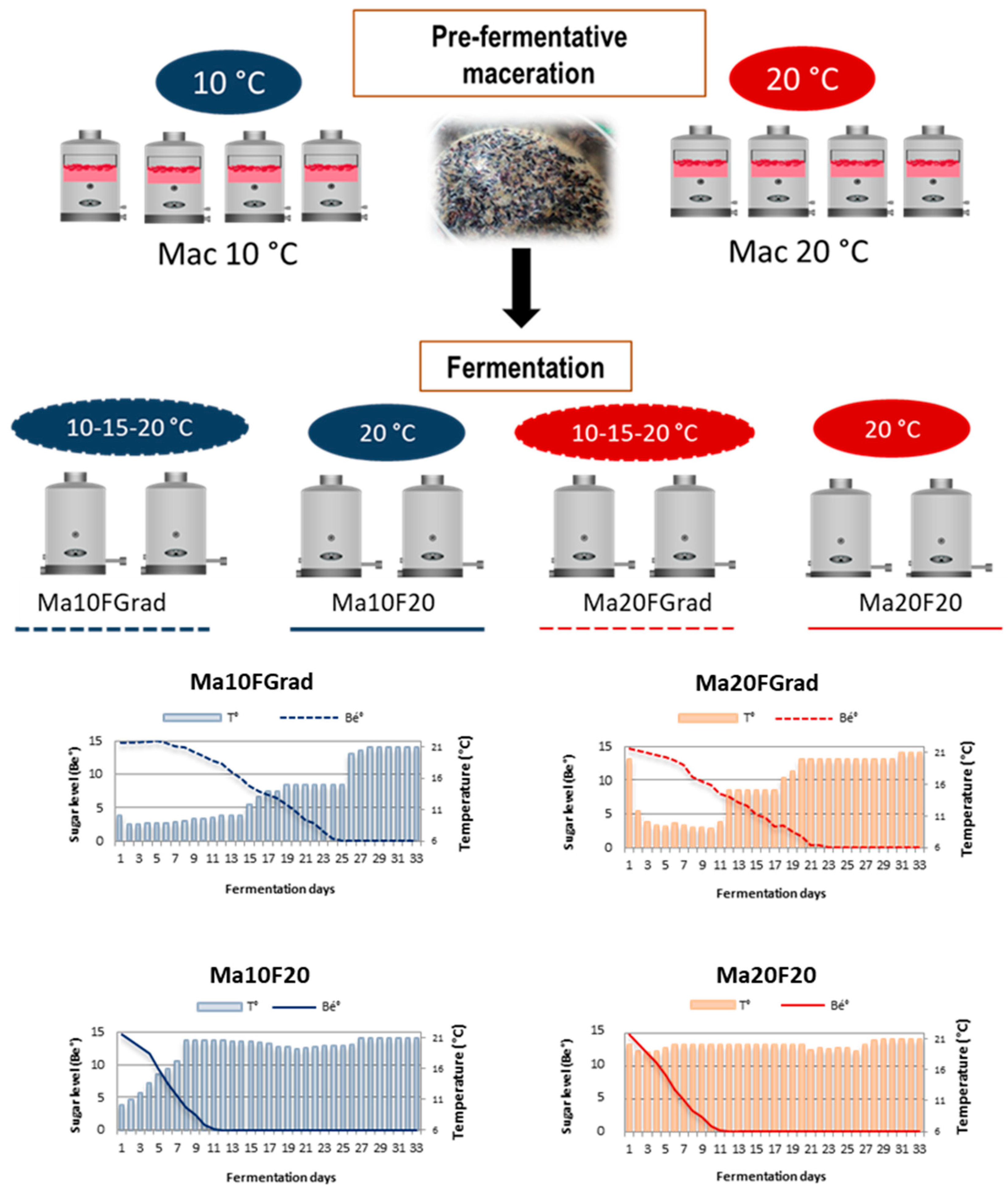 Foods 10 01053 g001 Foods 10 01053 g001