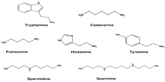 Structures in TXT, Download CAD free (1.39 MB)