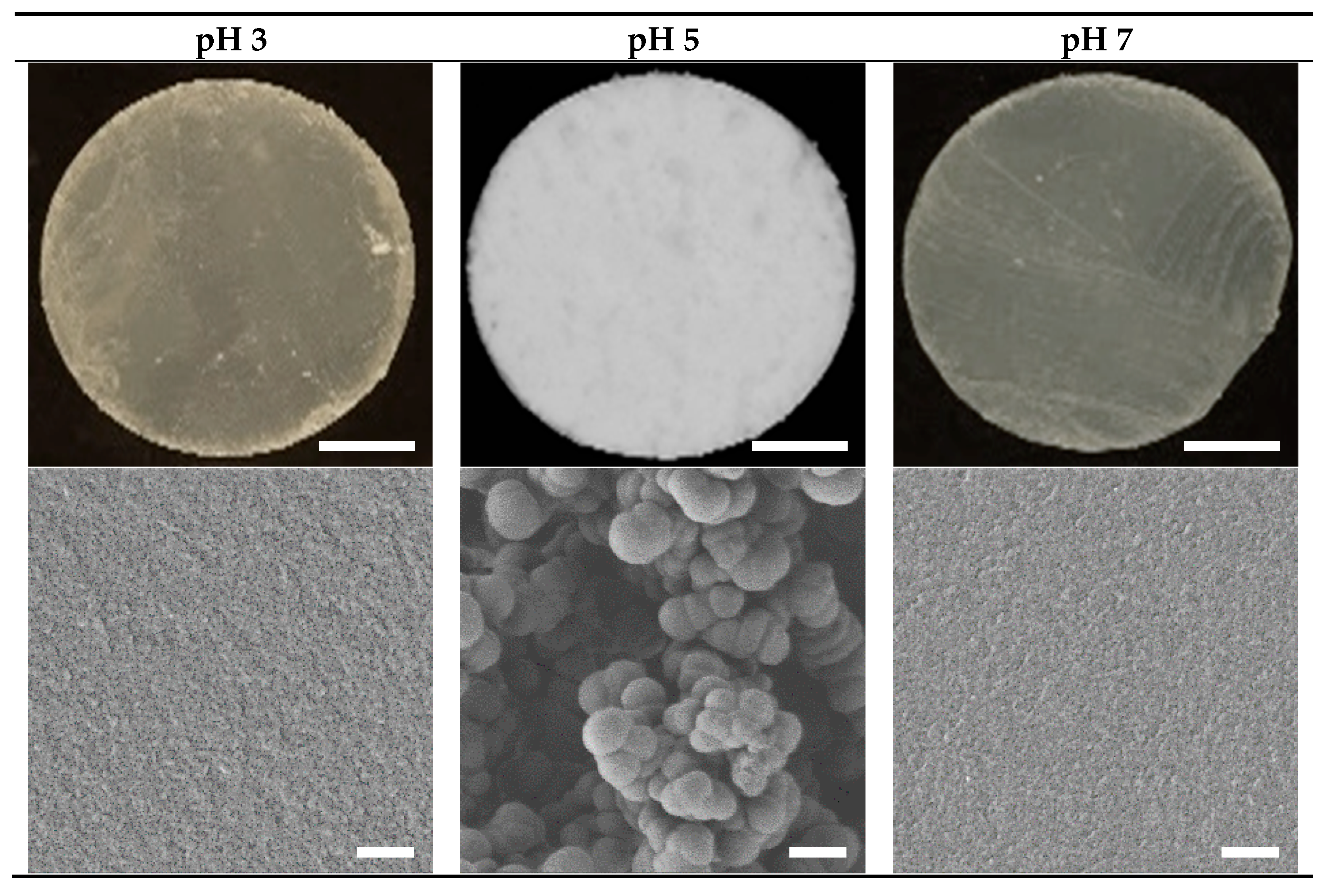 Foods 10 01066 g001 Foods 10 01066 g001