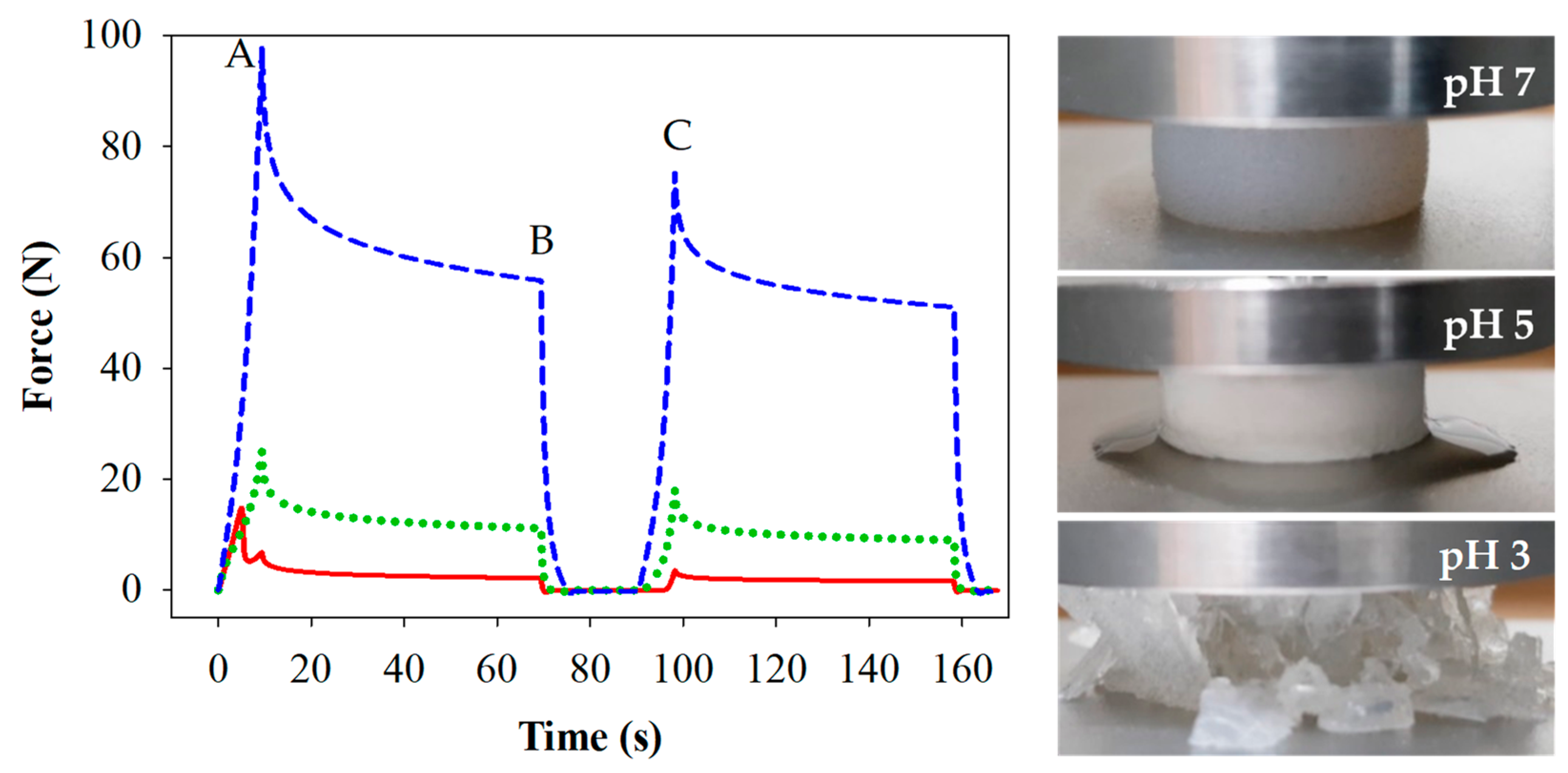 Foods 10 01066 g002 Foods 10 01066 g002