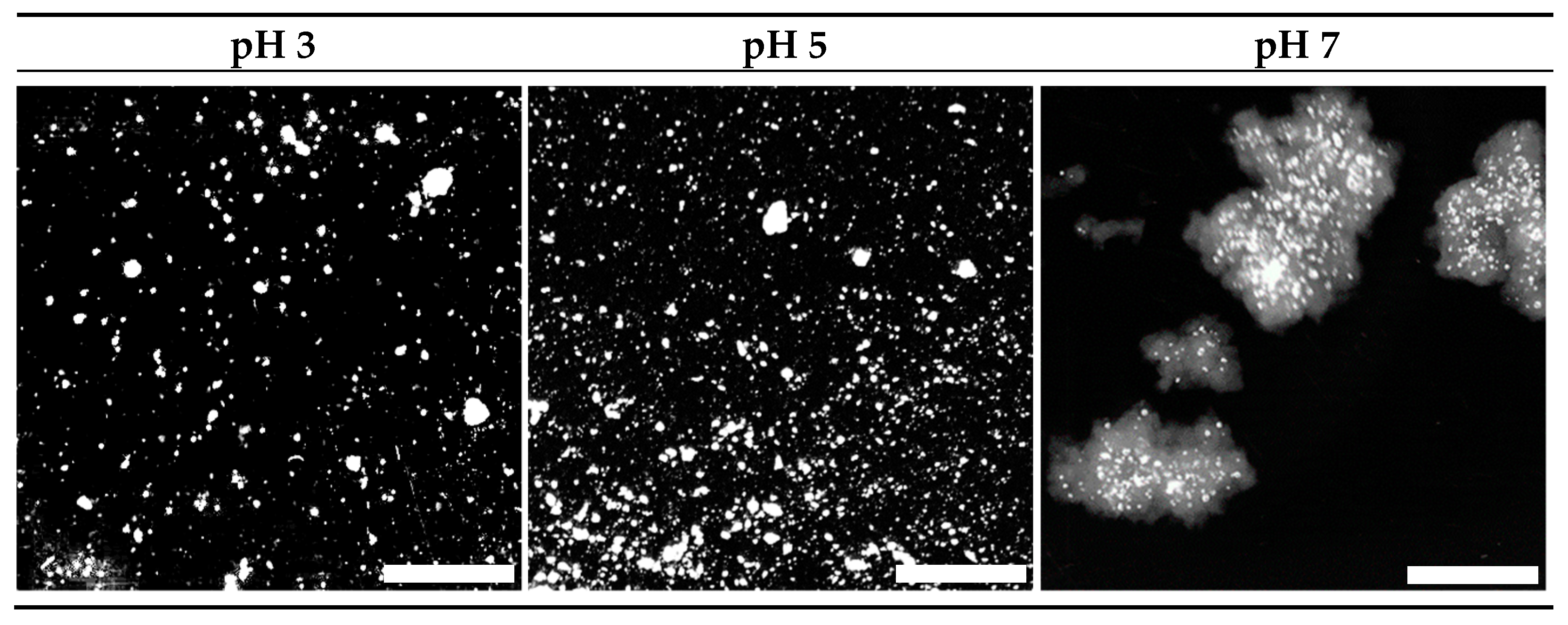 Foods 10 01066 g003 Foods 10 01066 g003