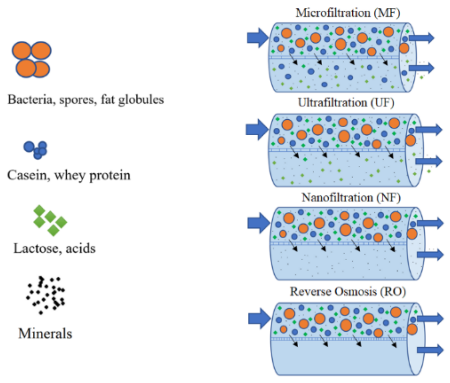 Foods 10 01067 g004 Foods 10 01067 g004