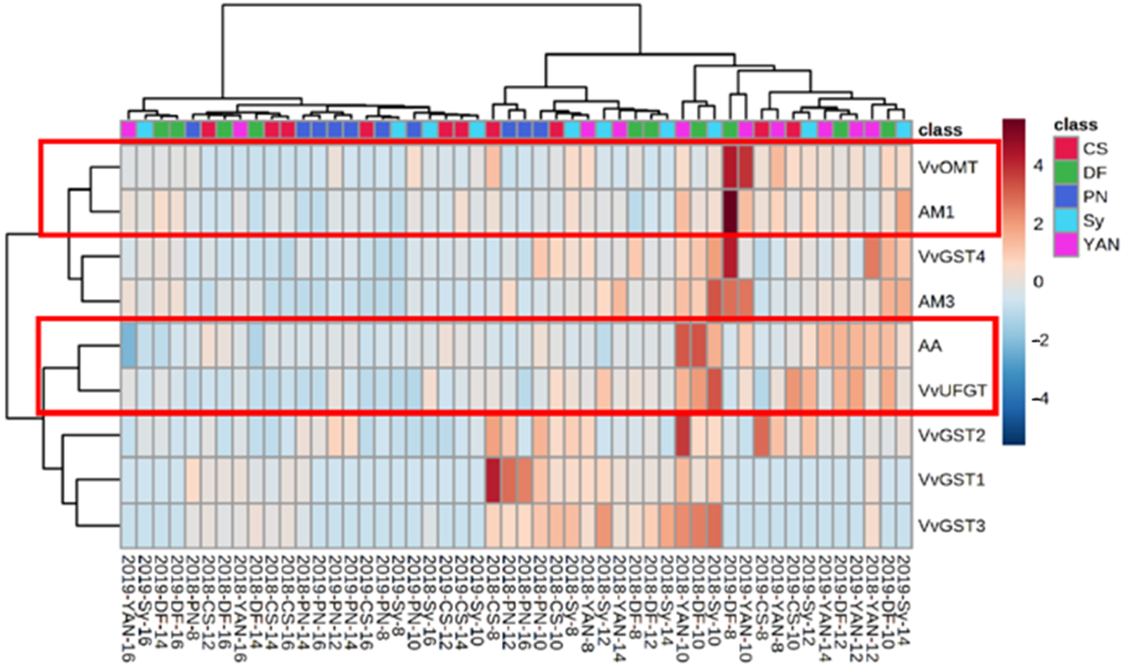 Foods 10 01073 g007 Foods 10 01073 g007