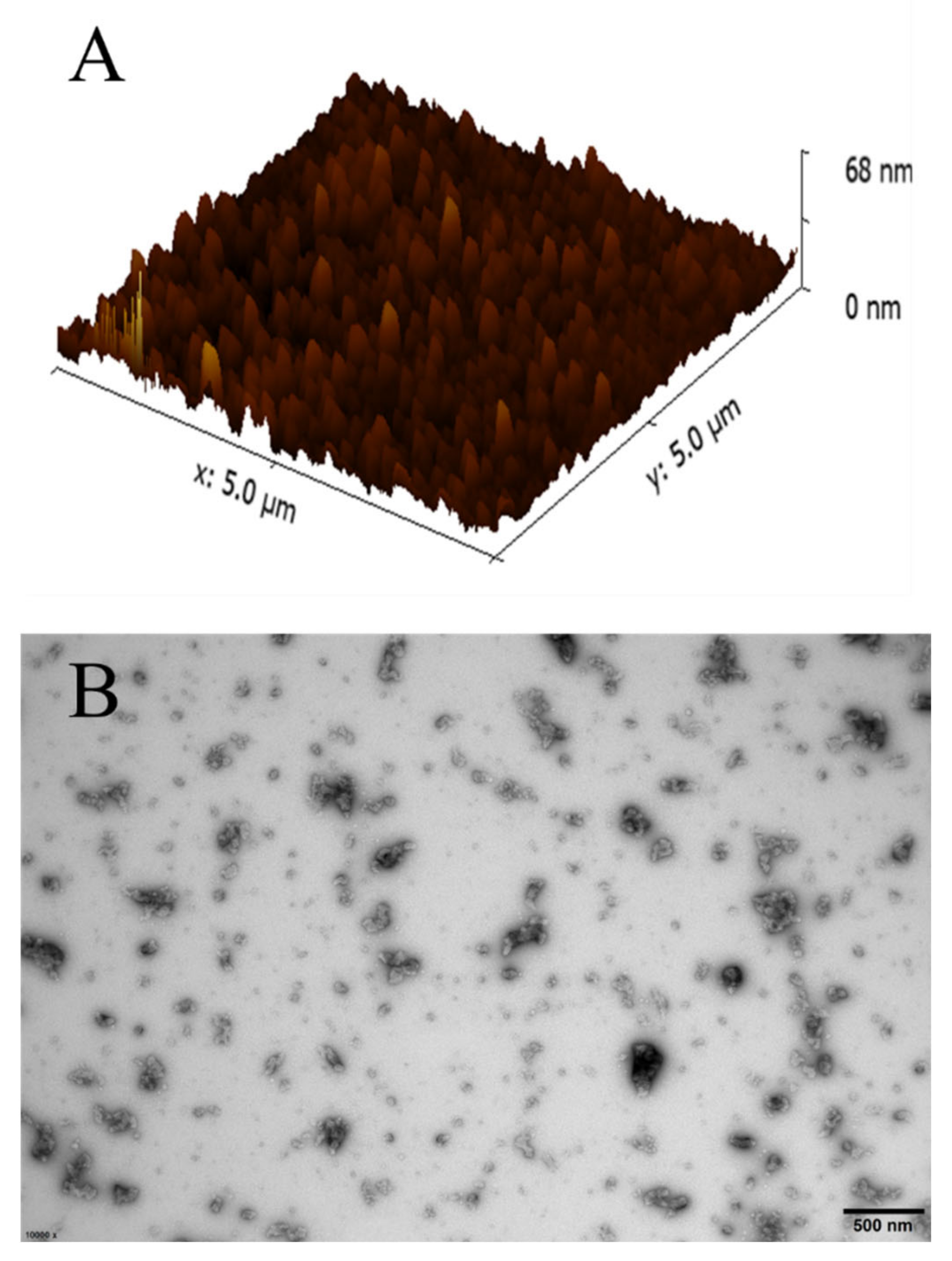 Foods 10 01074 g003 Foods 10 01074 g003