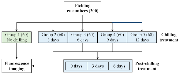 Foods 10 01094 g001