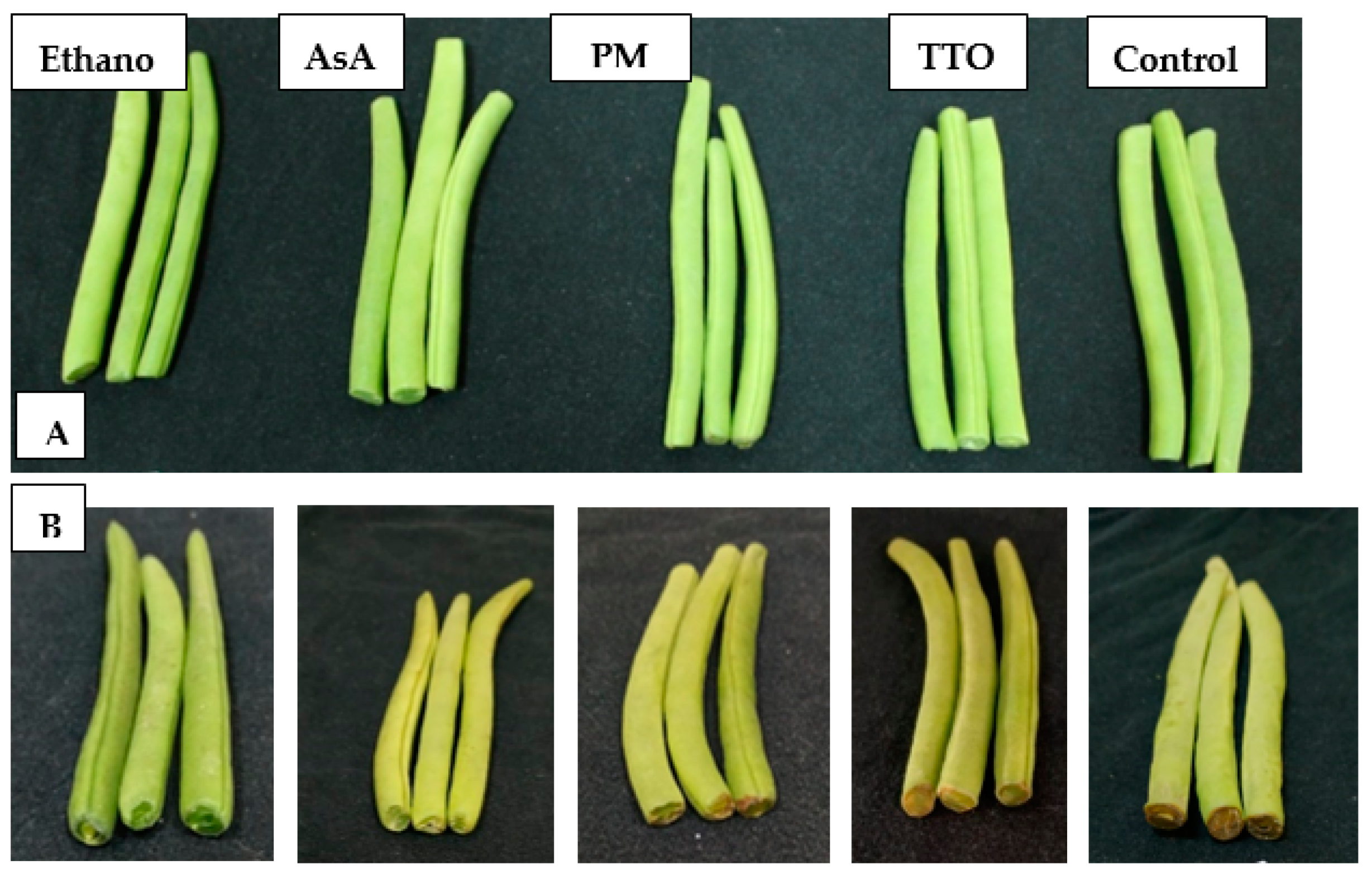 Foods 10 01103 g003 Foods 10 01103 g003