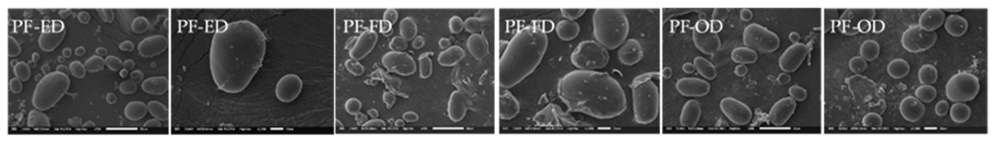 Foods 10 01115 g001 Foods 10 01115 g001