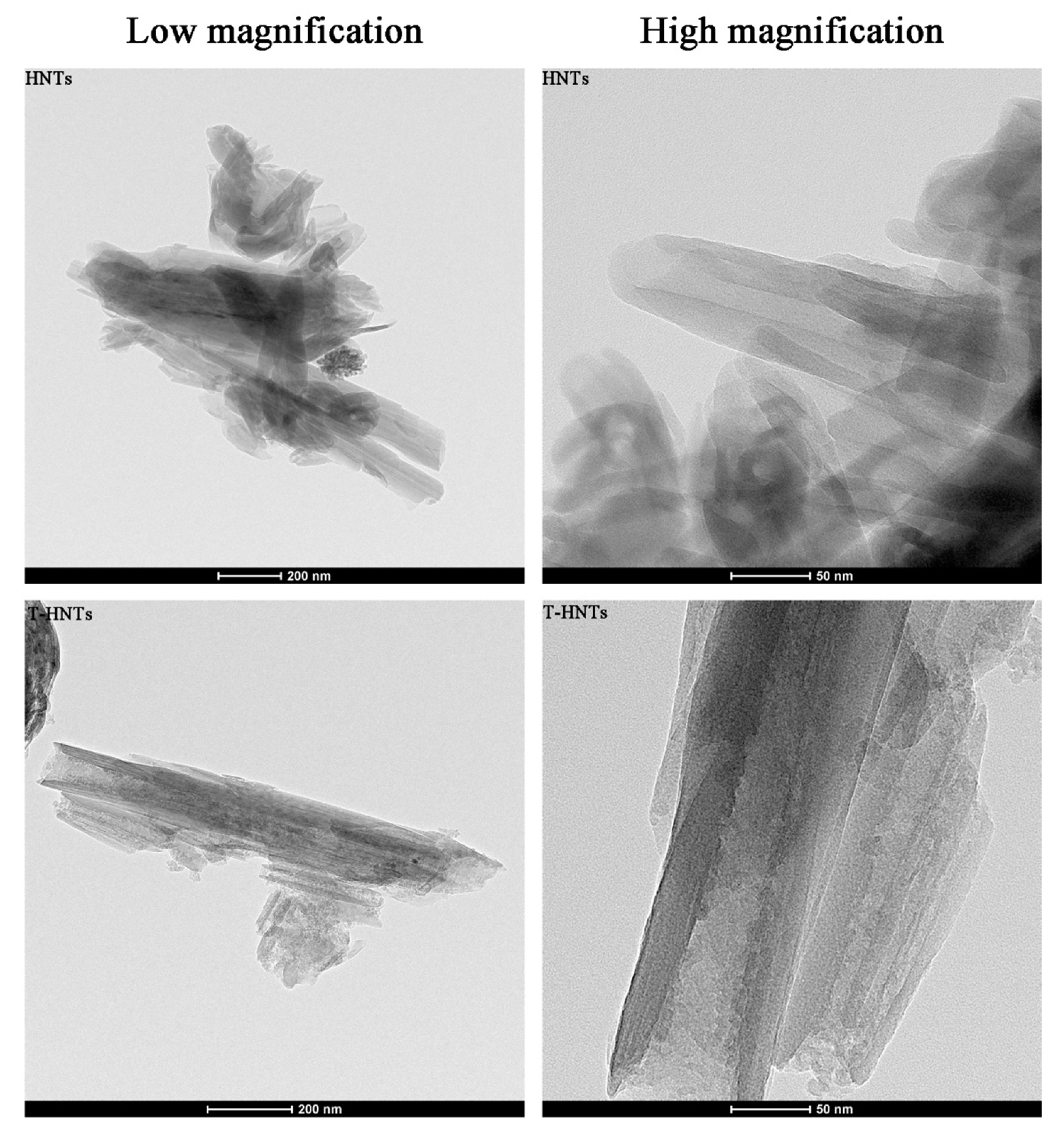 Foods 10 01150 g001 Foods 10 01150 g001