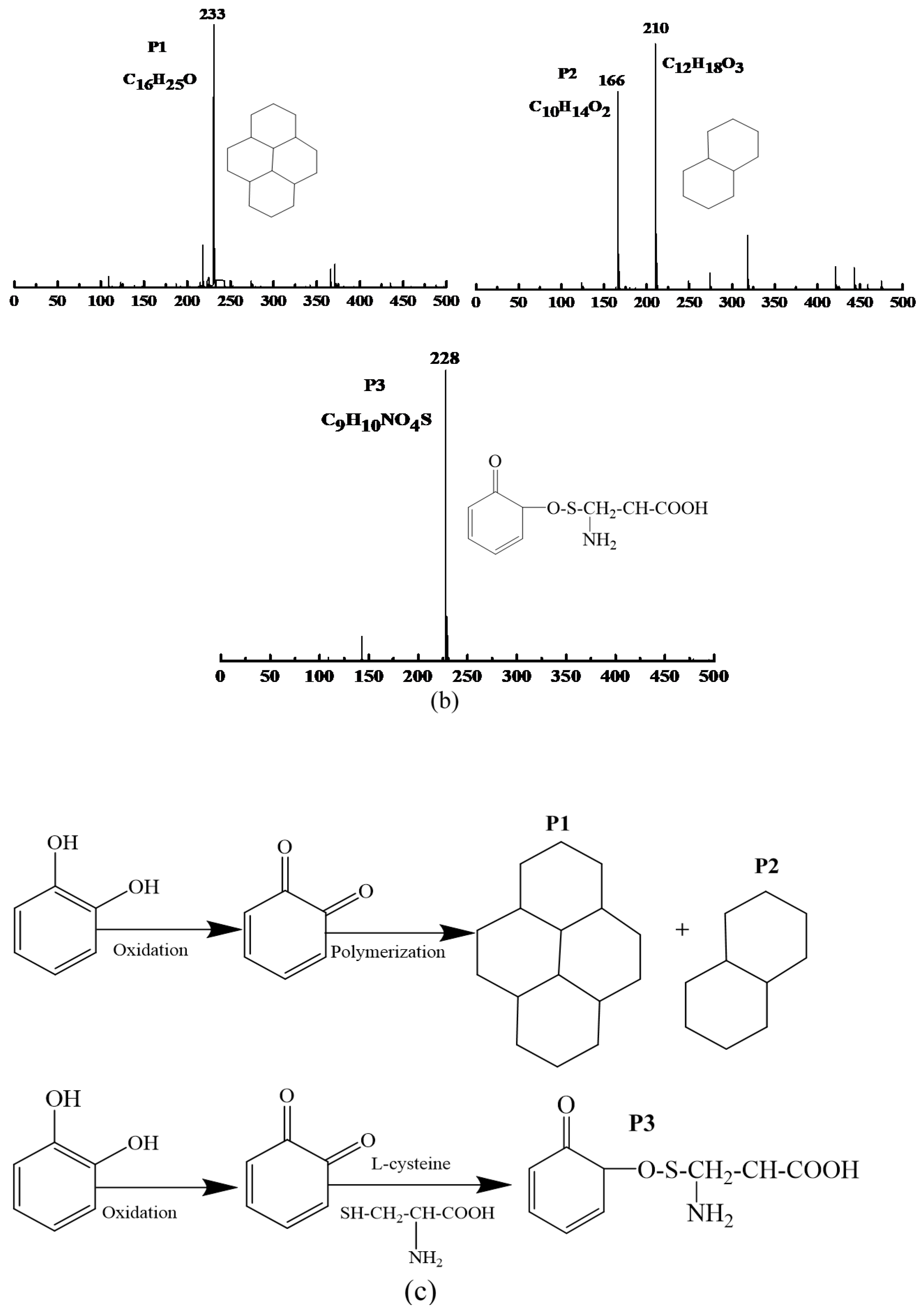 Foods 10 01156 g003b Foods 10 01156 g003b