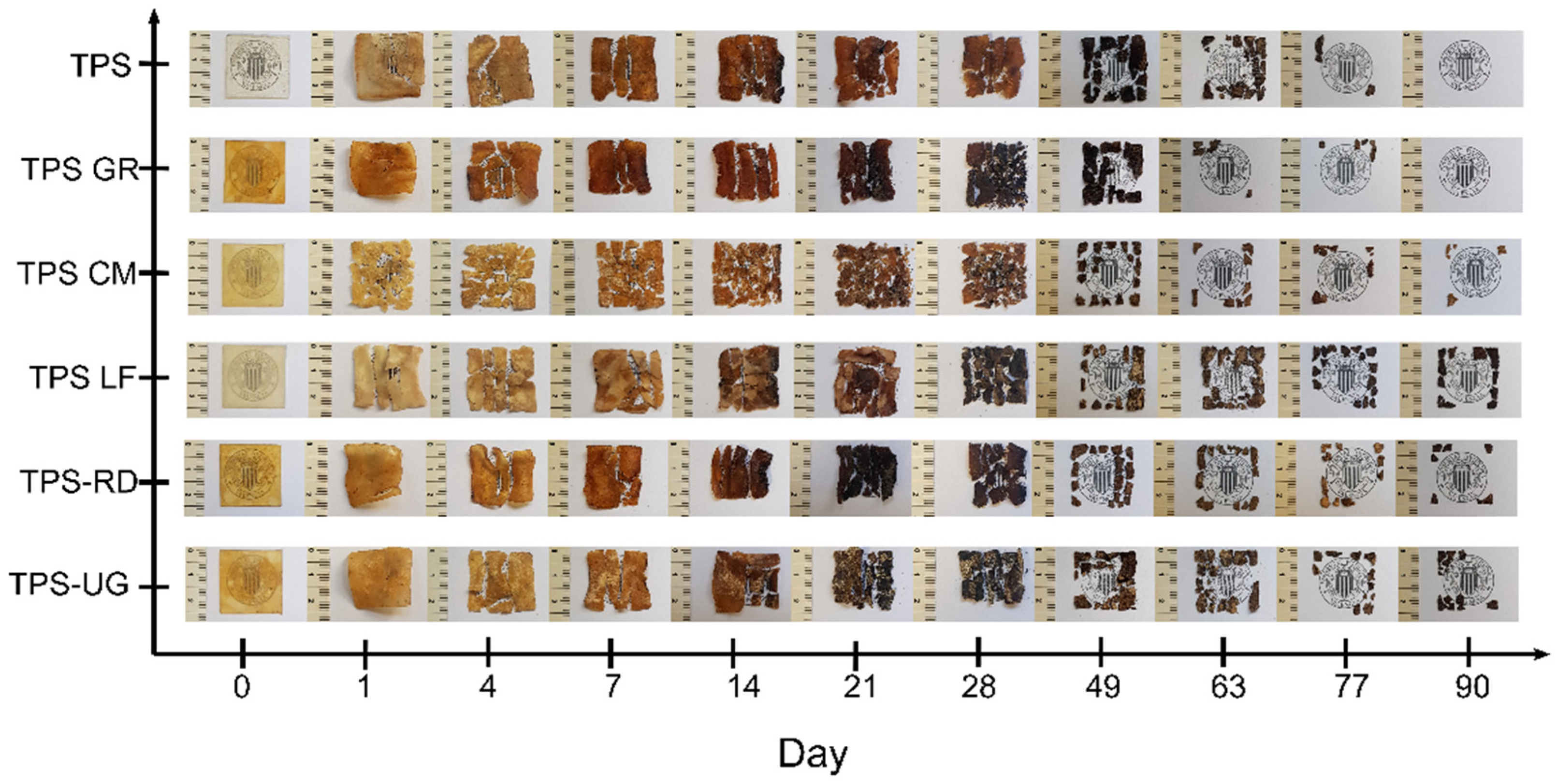 Foods 10 01171 g006 Foods 10 01171 g006