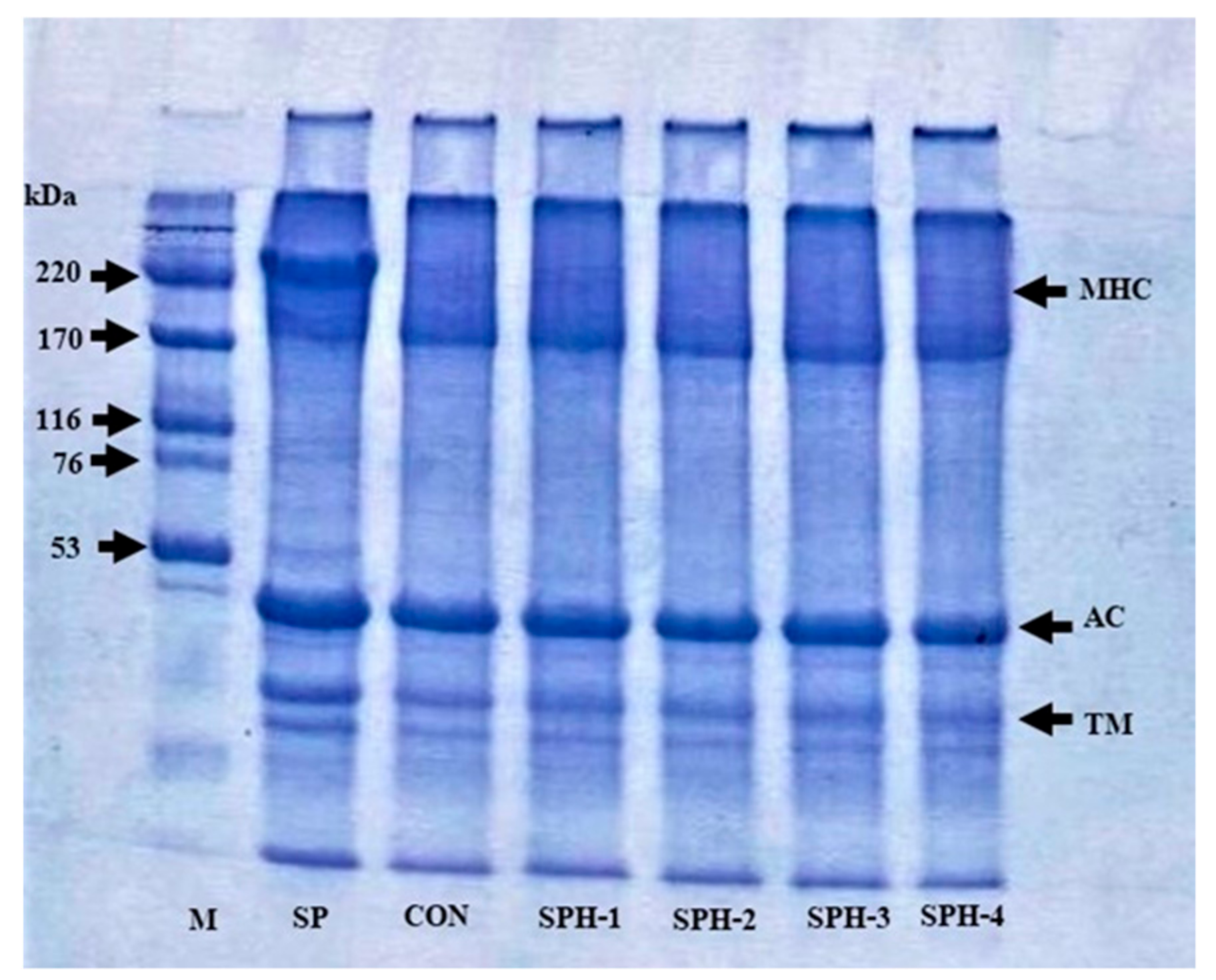Foods 10 01181 g002 Foods 10 01181 g002