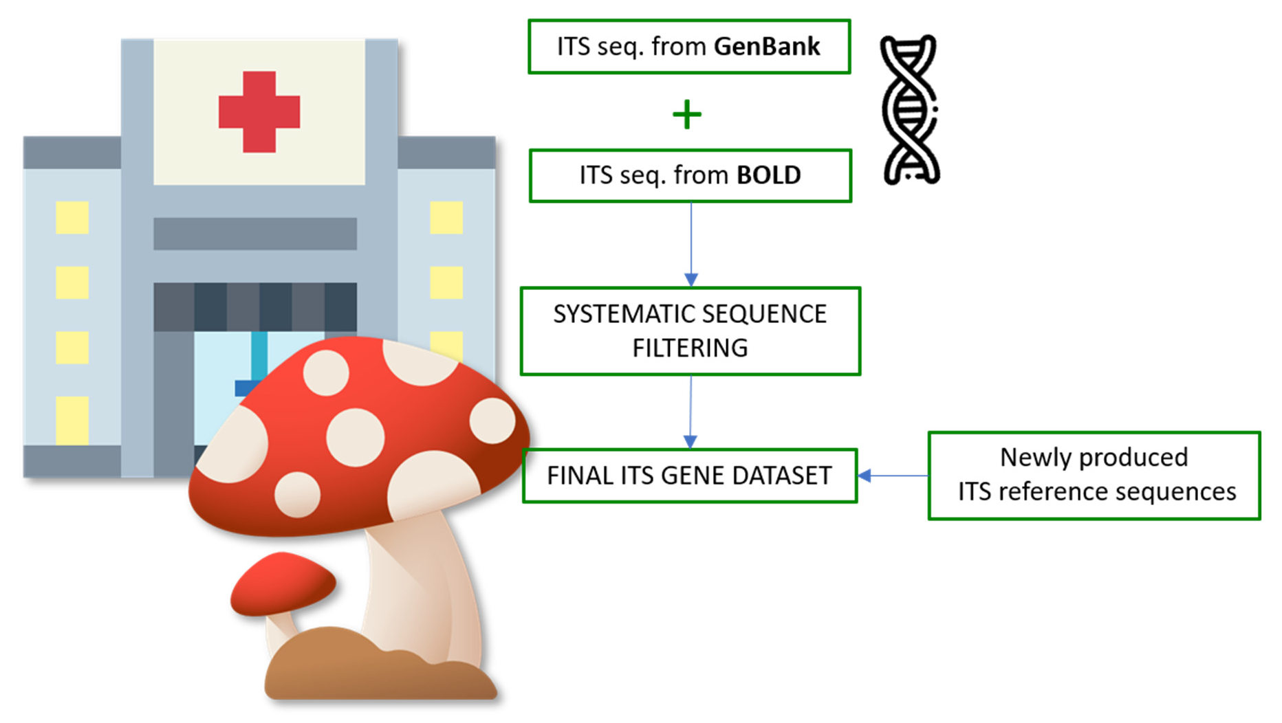 Foods Free Full Text Building Of An Internal Transcribed Spacer Its Gene Dataset To Support The Italian Health Service In Mushroom Identification Html Foods Free Full Text Building Of An Internal Transcribed Spacer Its Gene Dataset To Support The Italian Health Service In Mushroom Identification Html