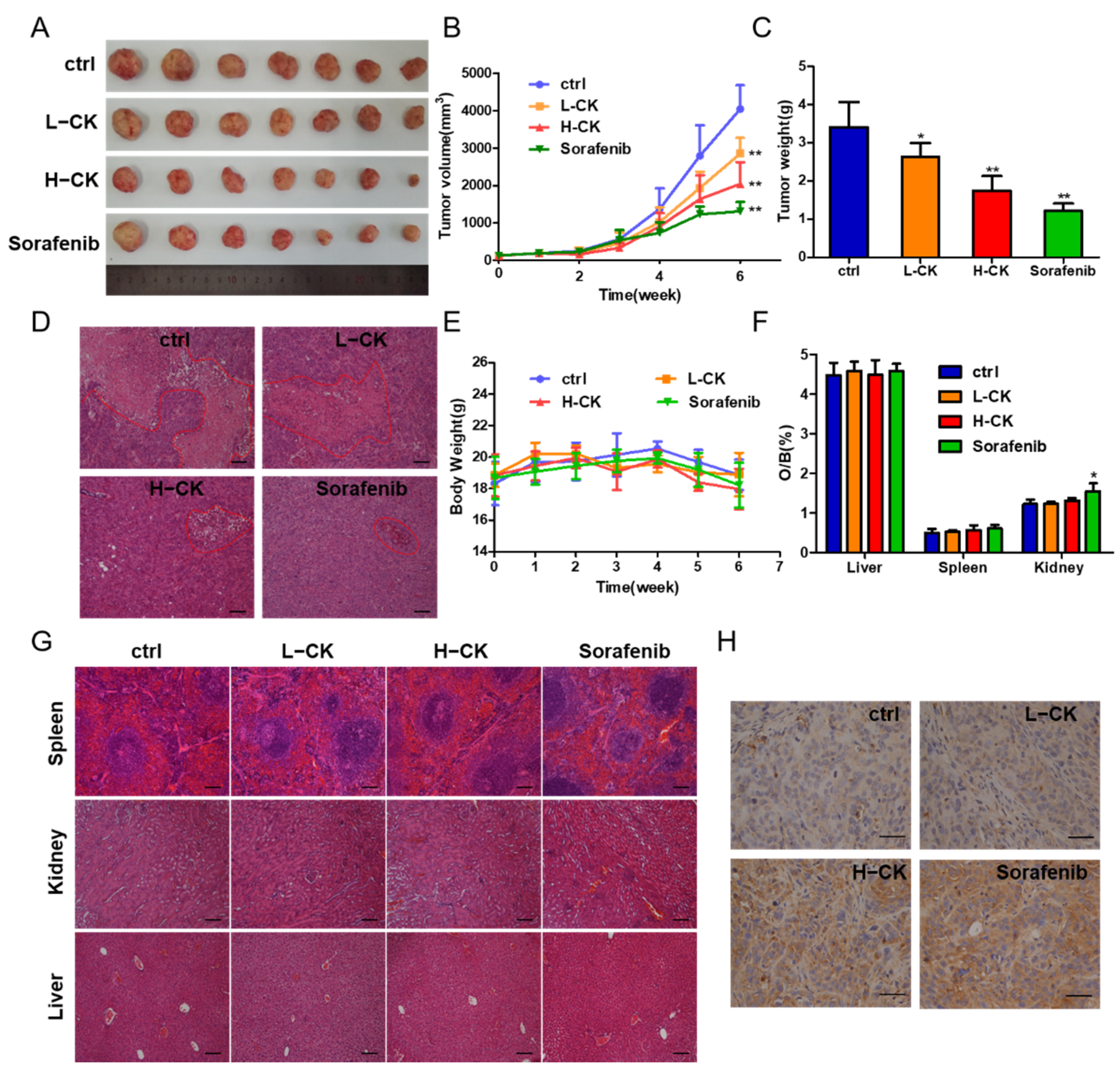 Foods 10 01195 g003 Foods 10 01195 g003
