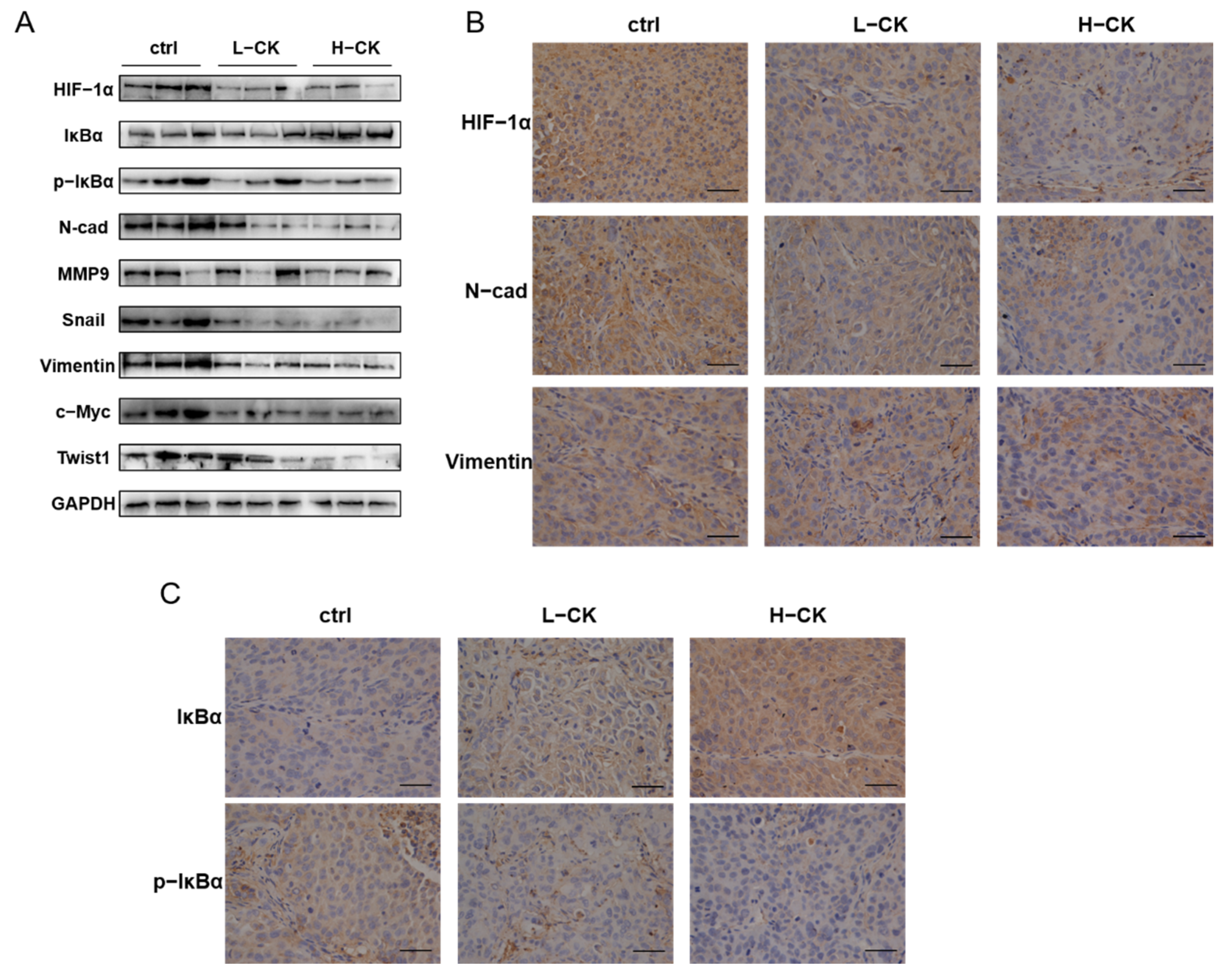 Foods 10 01195 g008 Foods 10 01195 g008