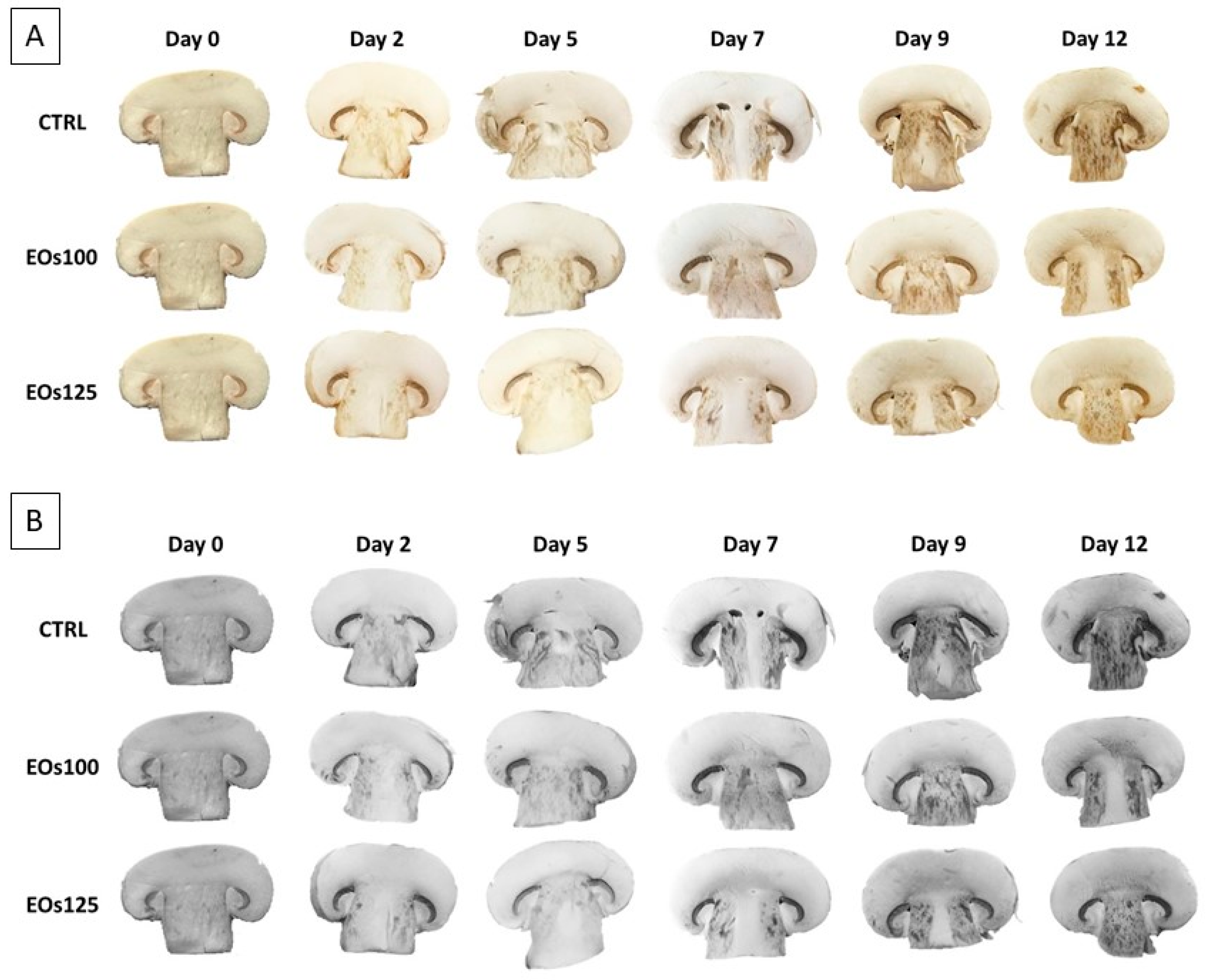 Foods 10 01196 g002 Foods 10 01196 g002