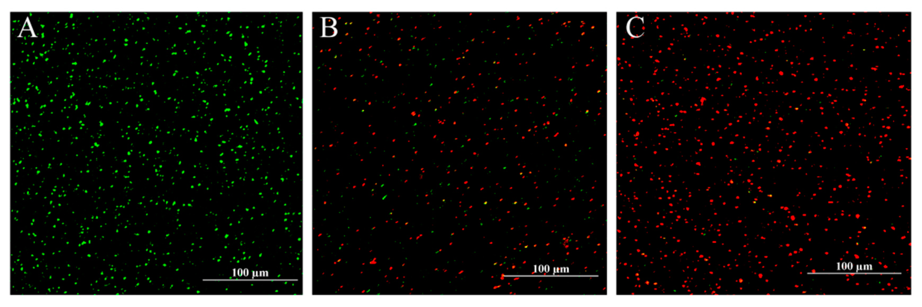 Foods 10 01211 g007 Foods 10 01211 g007