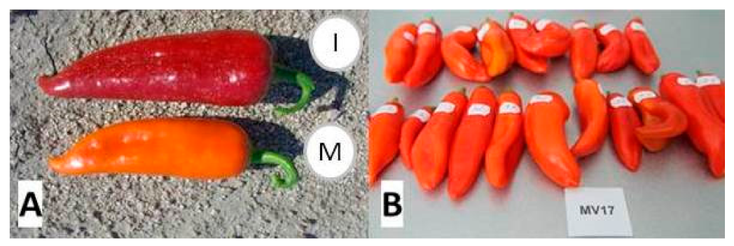 Foods 10 01225 g001 Foods 10 01225 g001