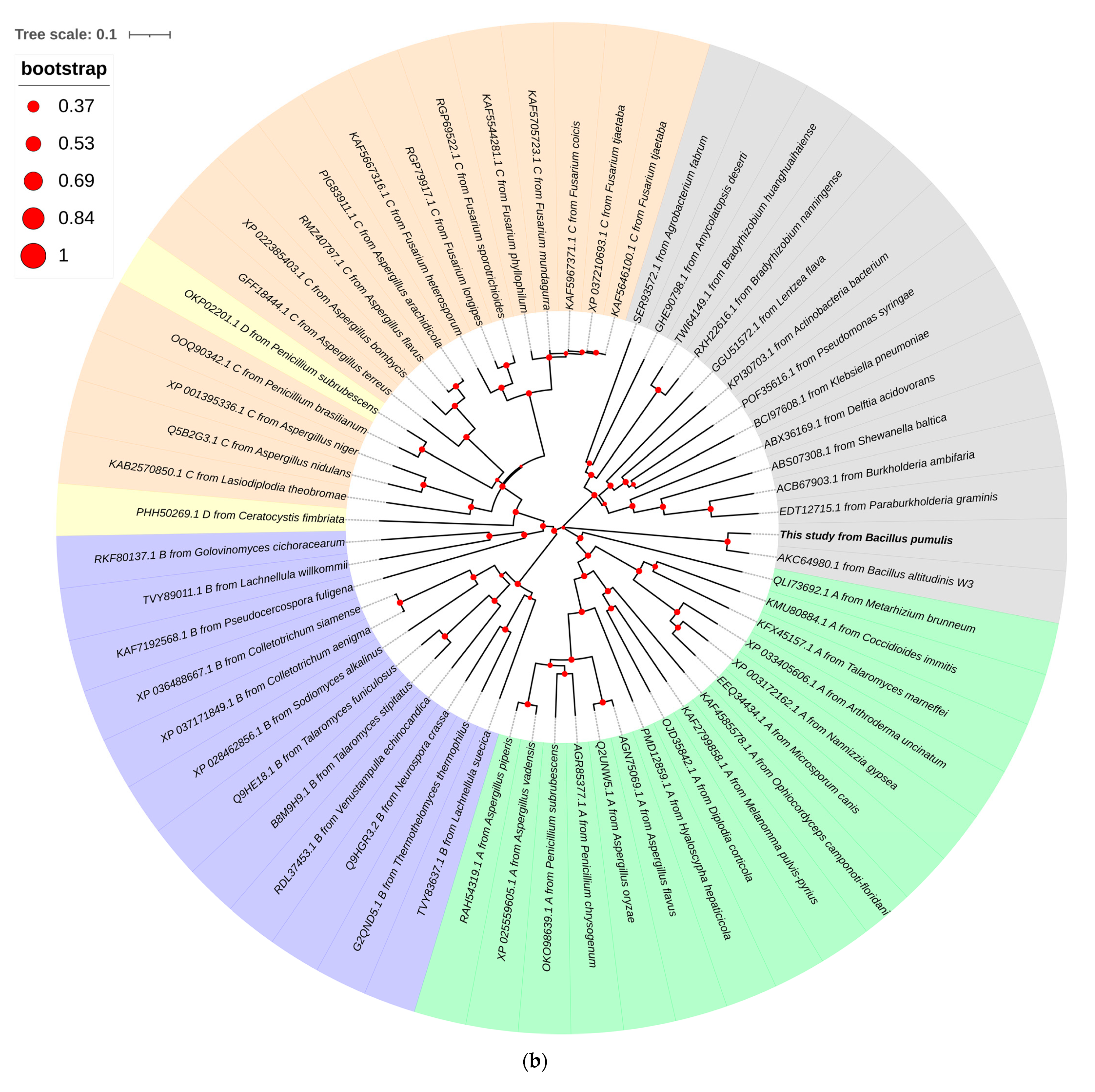 Foods 10 01229 g001b