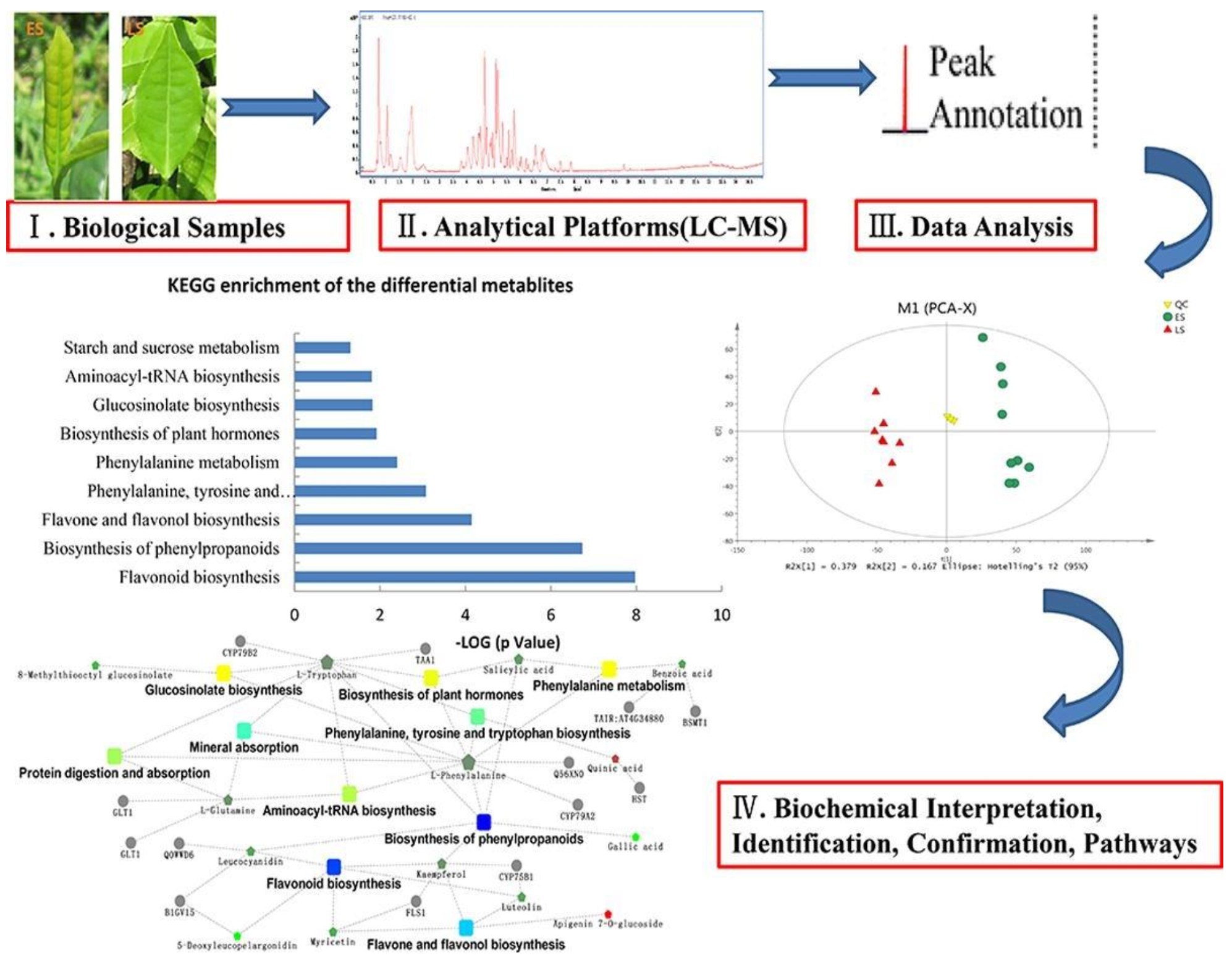 Foods 10 01249 g002 Foods 10 01249 g002
