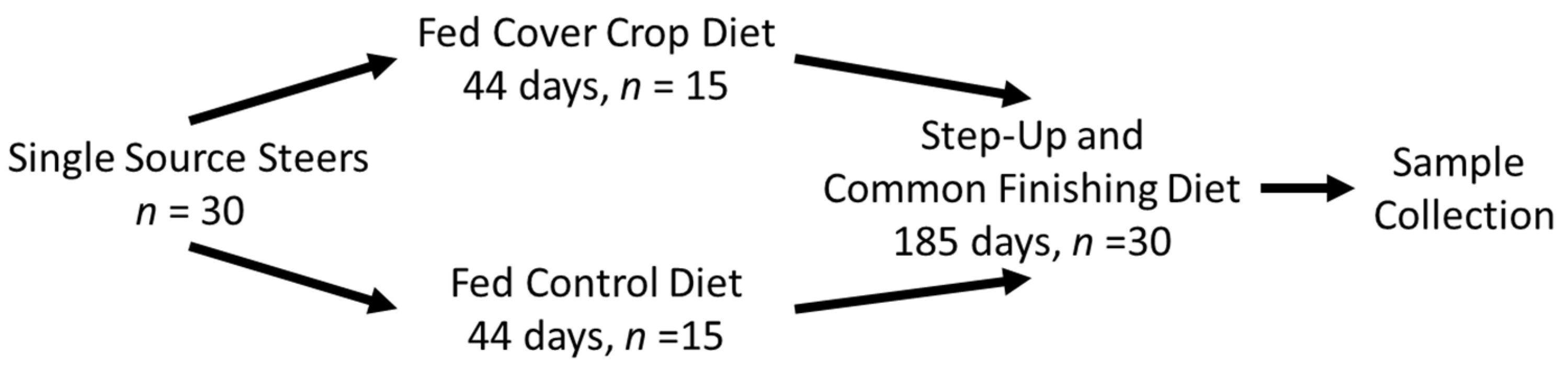 Foods 10 01250 g001 Foods 10 01250 g001