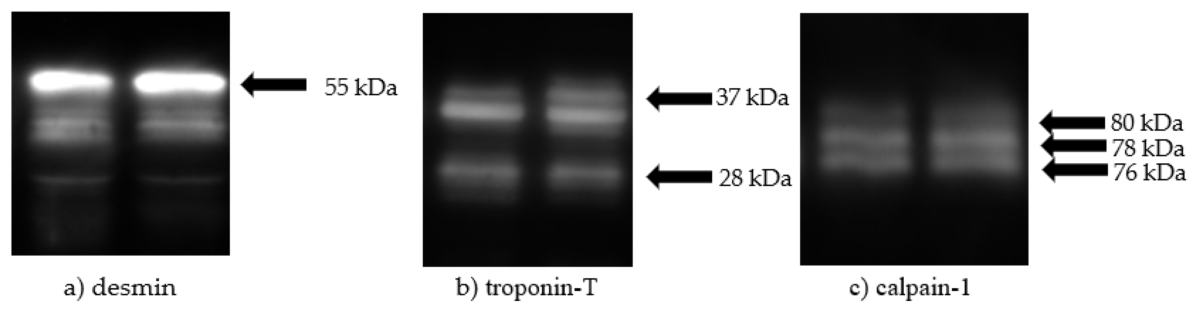 Foods 10 01250 g003 Foods 10 01250 g003