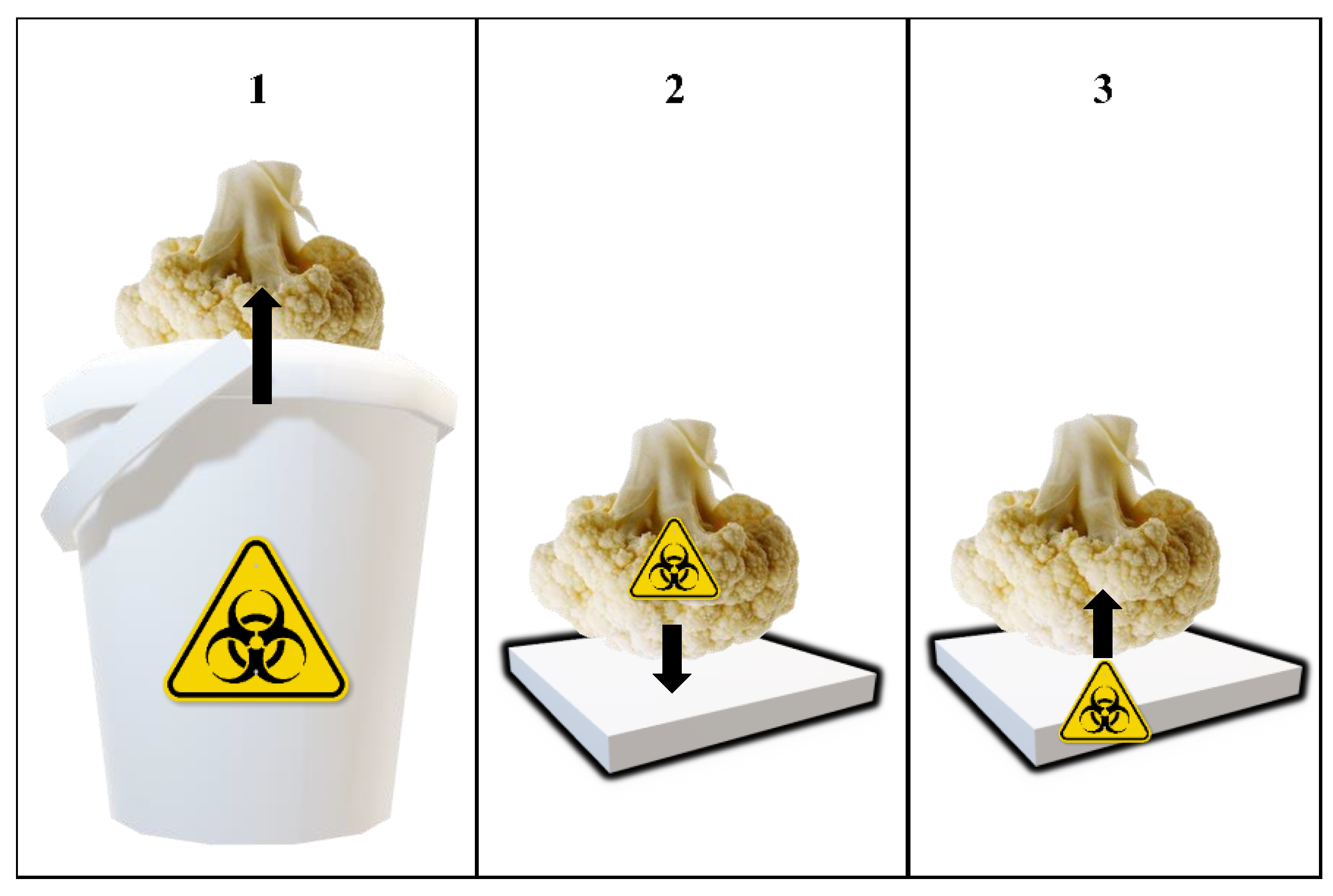 Does plastic packaging rule the fresh foods roost?, 2020-01-15