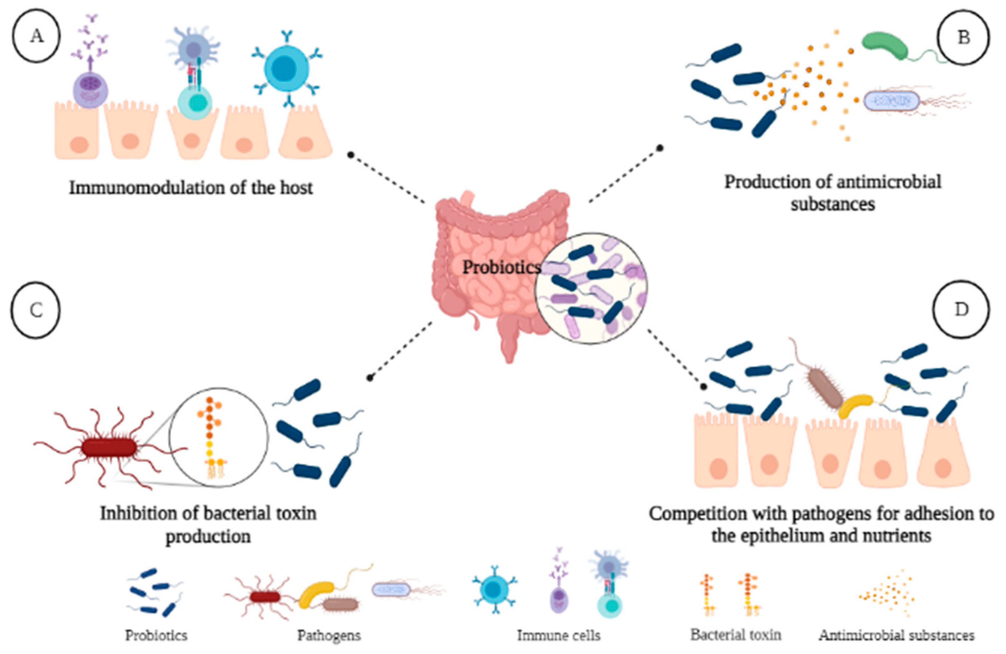 Foods 10 01261 g004 Foods 10 01261 g004