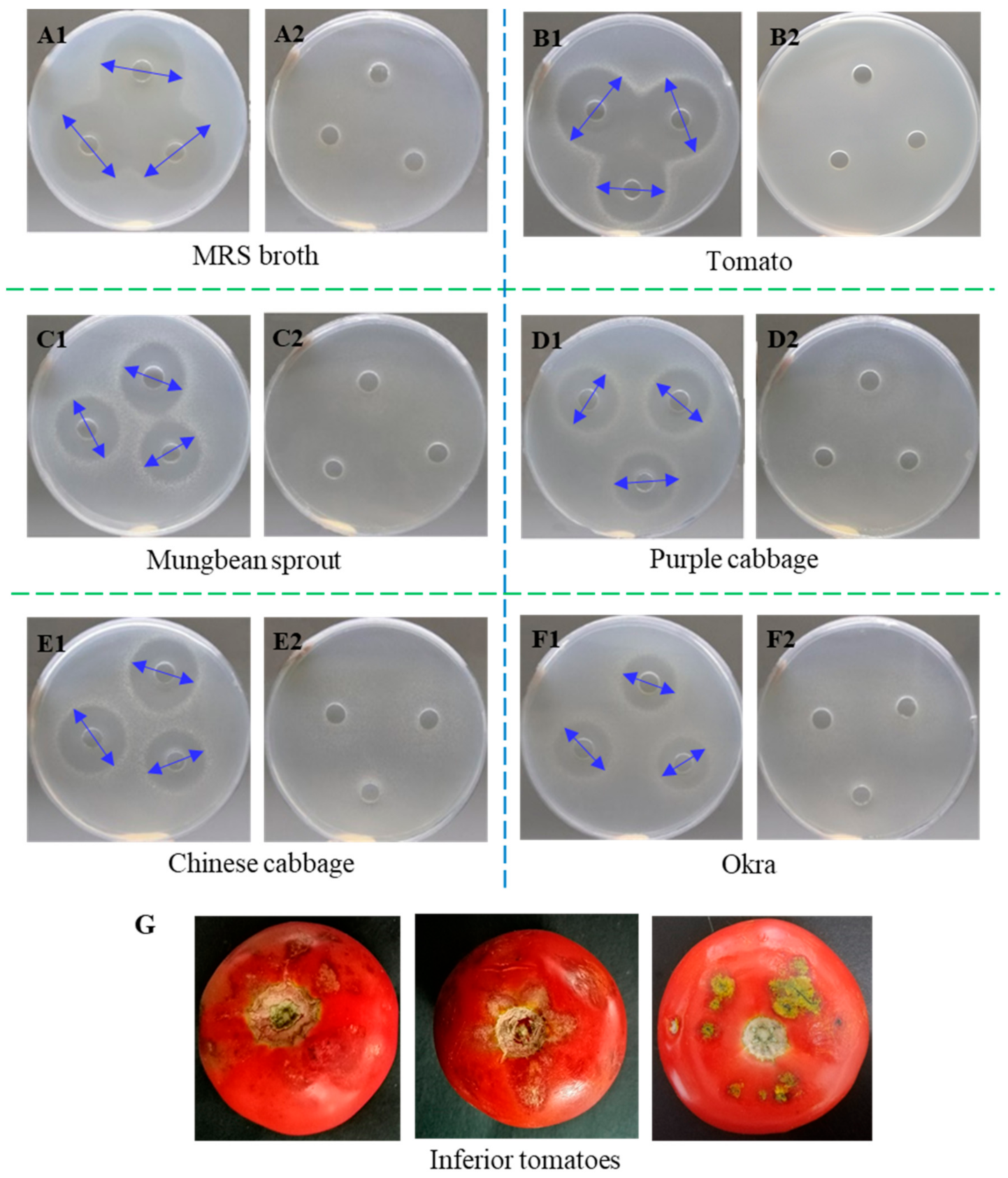 Foods 10 01278 g001 Foods 10 01278 g001